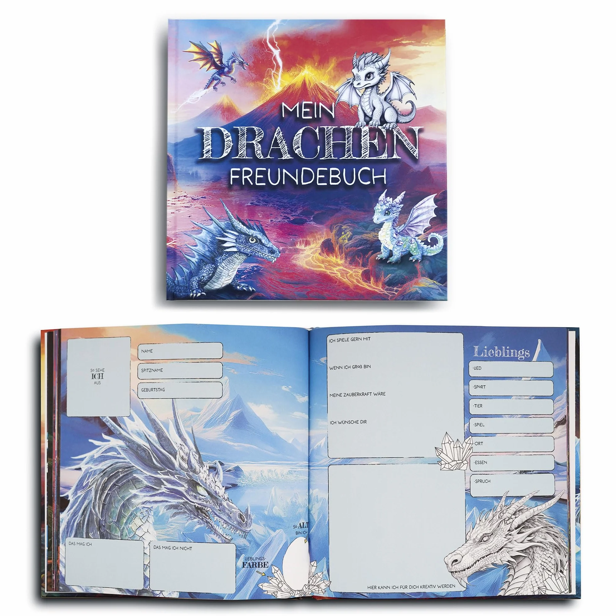 Livre d'amitié Mon dragon ami pour garçons et filles maternelle école primaire Cadeau rentrée des classes