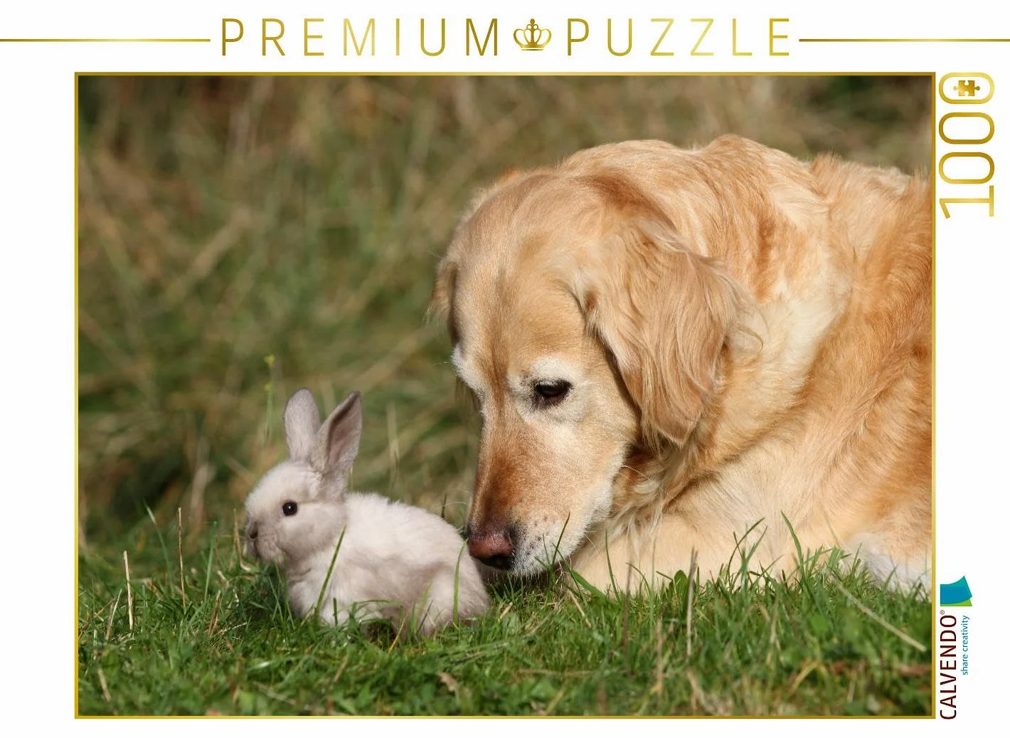 CALVENDO Puzzle Enfants Animaux Petits et Mignons 1000 Pieces 64 x 48 cm from Berit Seiboth