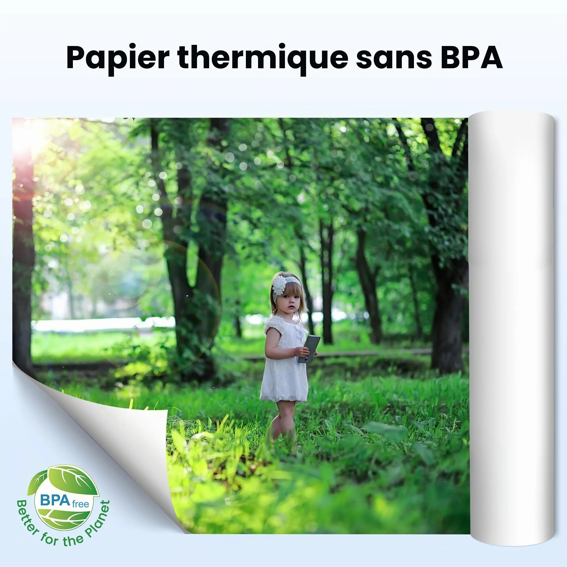 Phomemo Papier Thermique A4 2 Rouleaux 210x297 mm Compatible M832/M834/M833