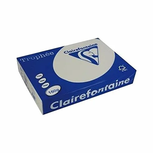 Papier A4 160g 210x297 mm GRIS perle Lot de 4 Ramettes Certifié FSC