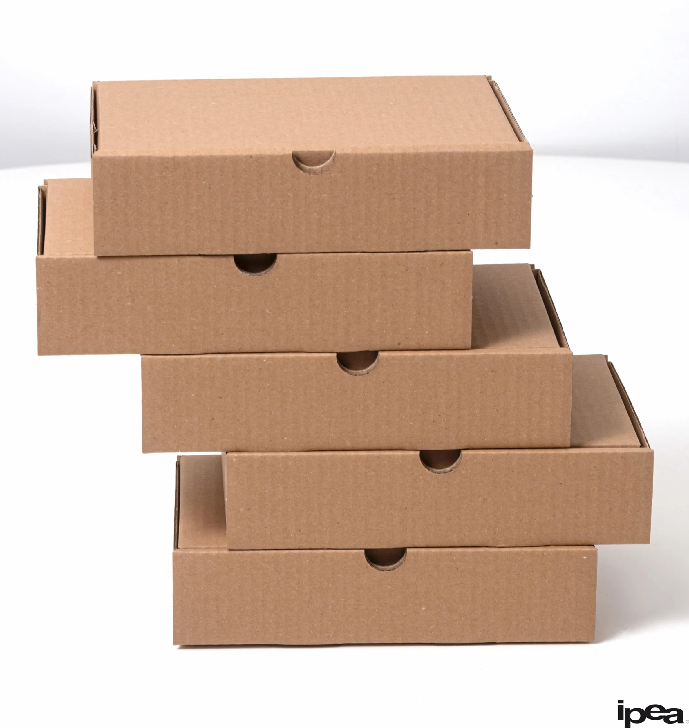 IPEA Boîtes en Carton 21 x 15 x 5 cm 10 Pièces Made in Italy pour Expéditions E-Commerce