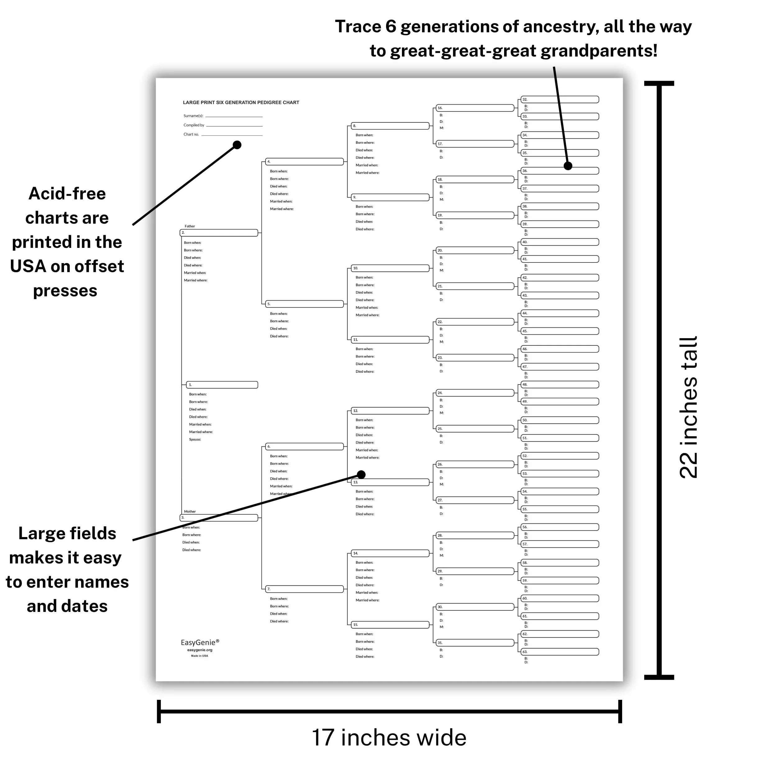 EASYGENIE 10 Large Print Six Generation Pedigree Charts Archival-Quality Genealogy Forms
