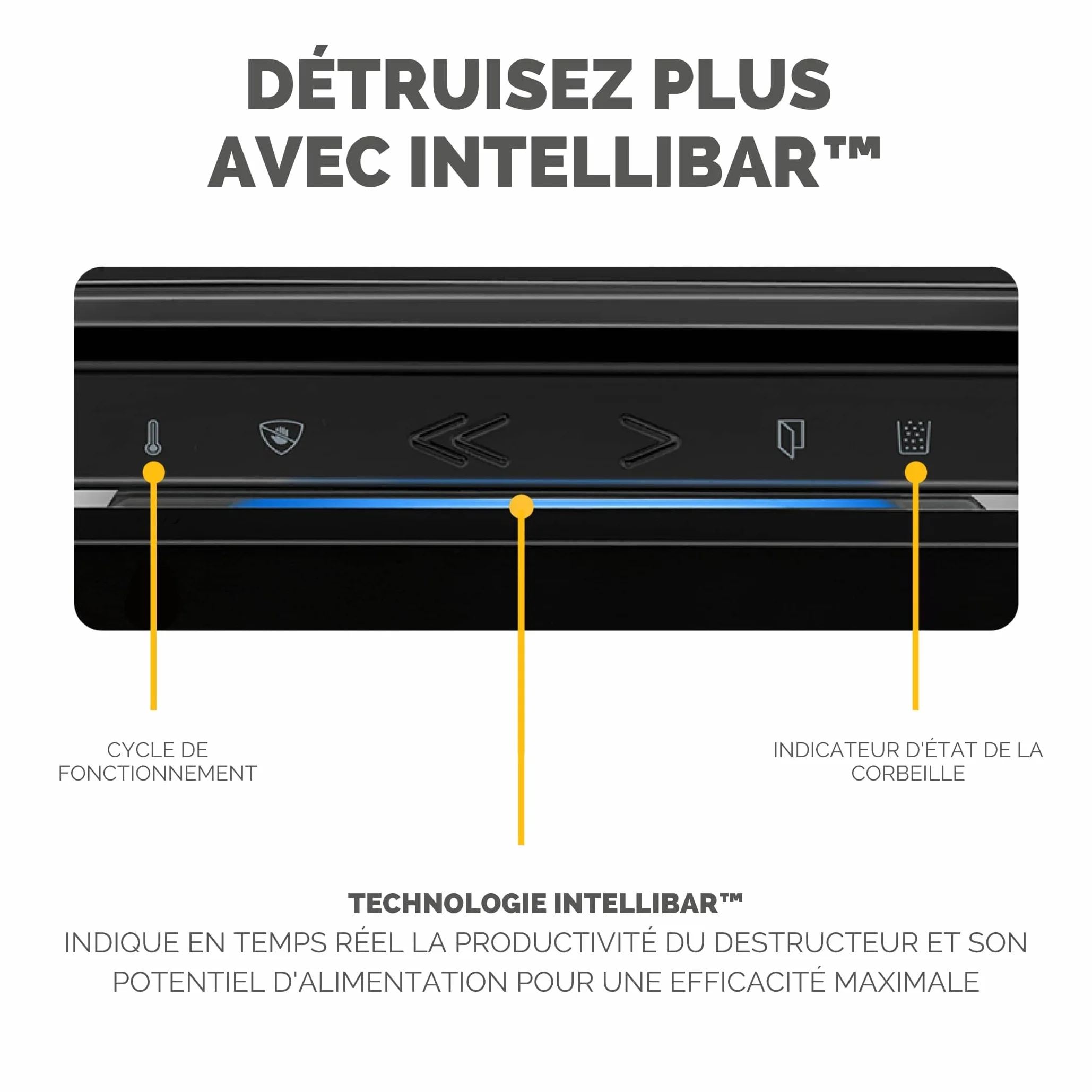 Fellowes Powershred LX201 Destructeur de Documents Coupe Micro 12 Feuilles Technologie SafeSense Noir