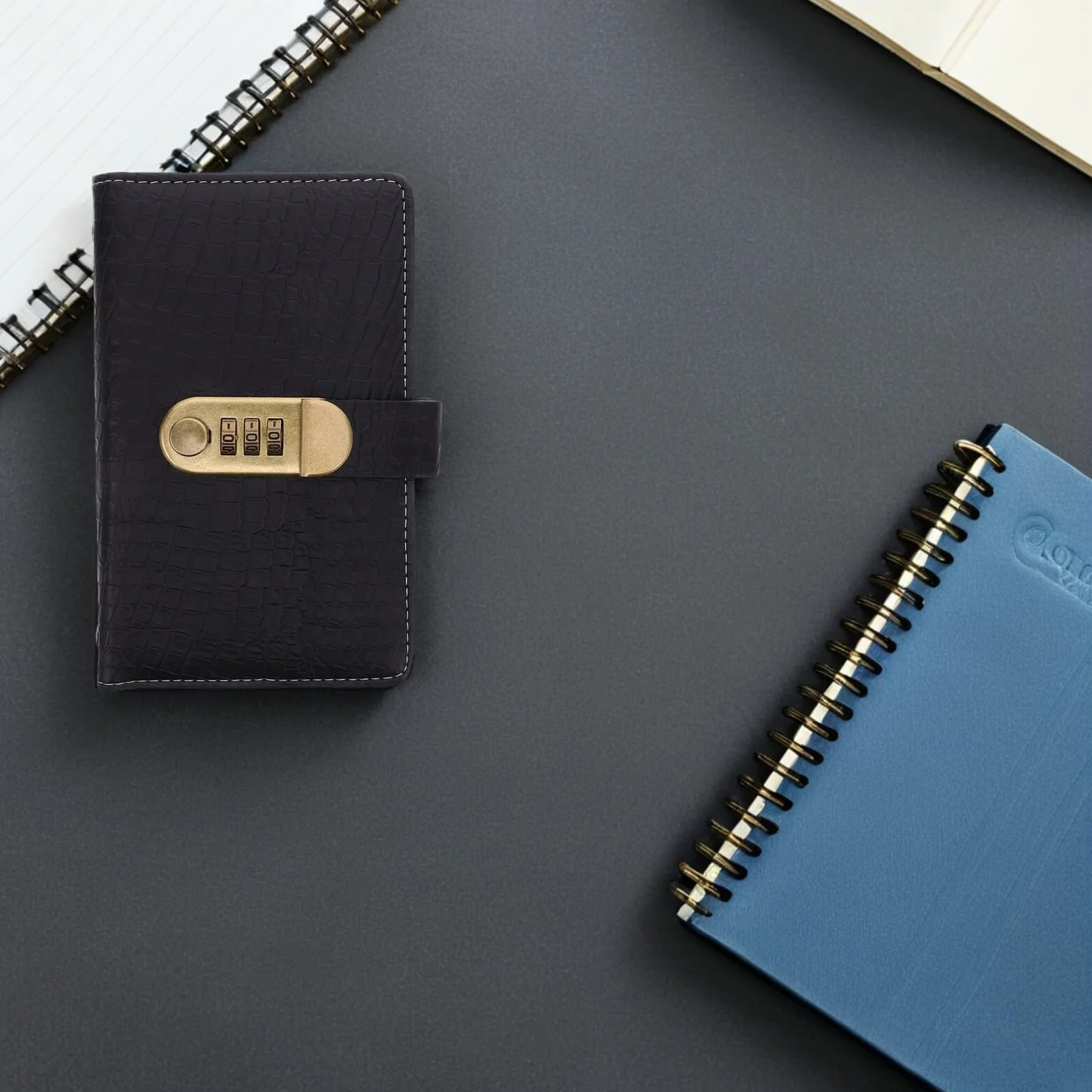 Tofficu Classeur Budgétaire D’Épargne avec Cadenas à 3 Chiffres, 100 Emplacements, 50 Pages Transparentes