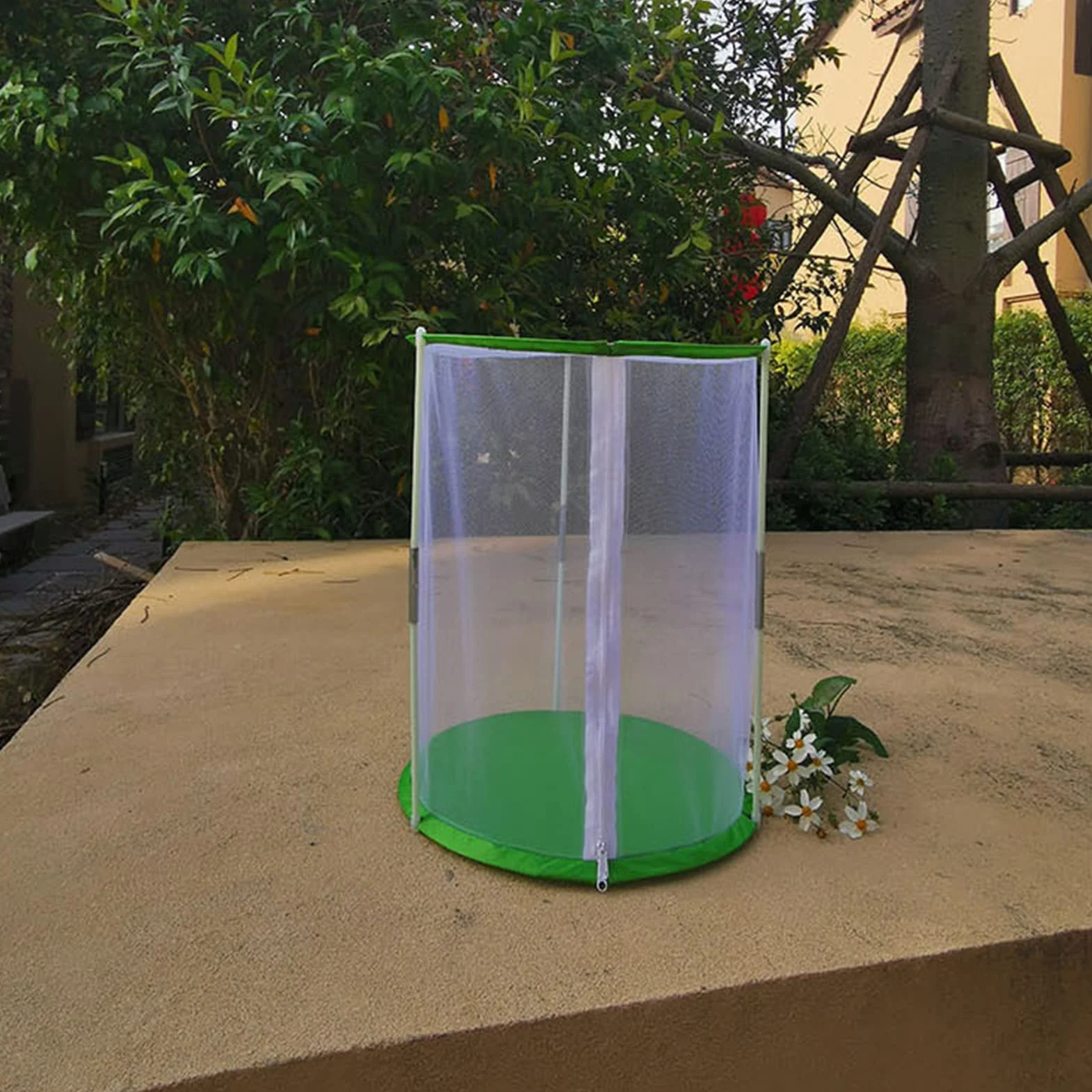 Cage d'observation transparente pour papillons et insectes, maille cylindrique