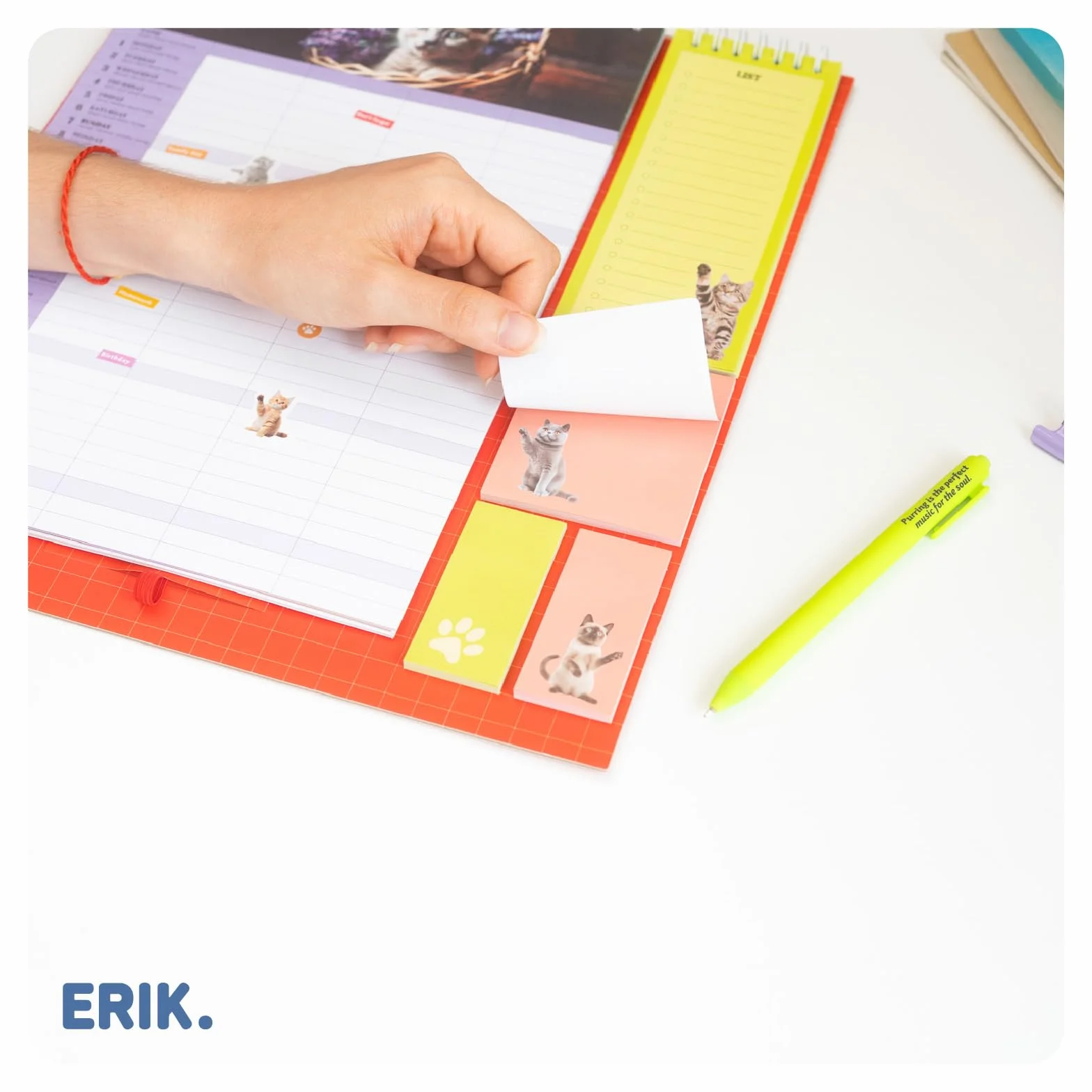 Calendrier Chats 2025 2026 16 mois Planificateur Mensuel Familial Grupo Erik