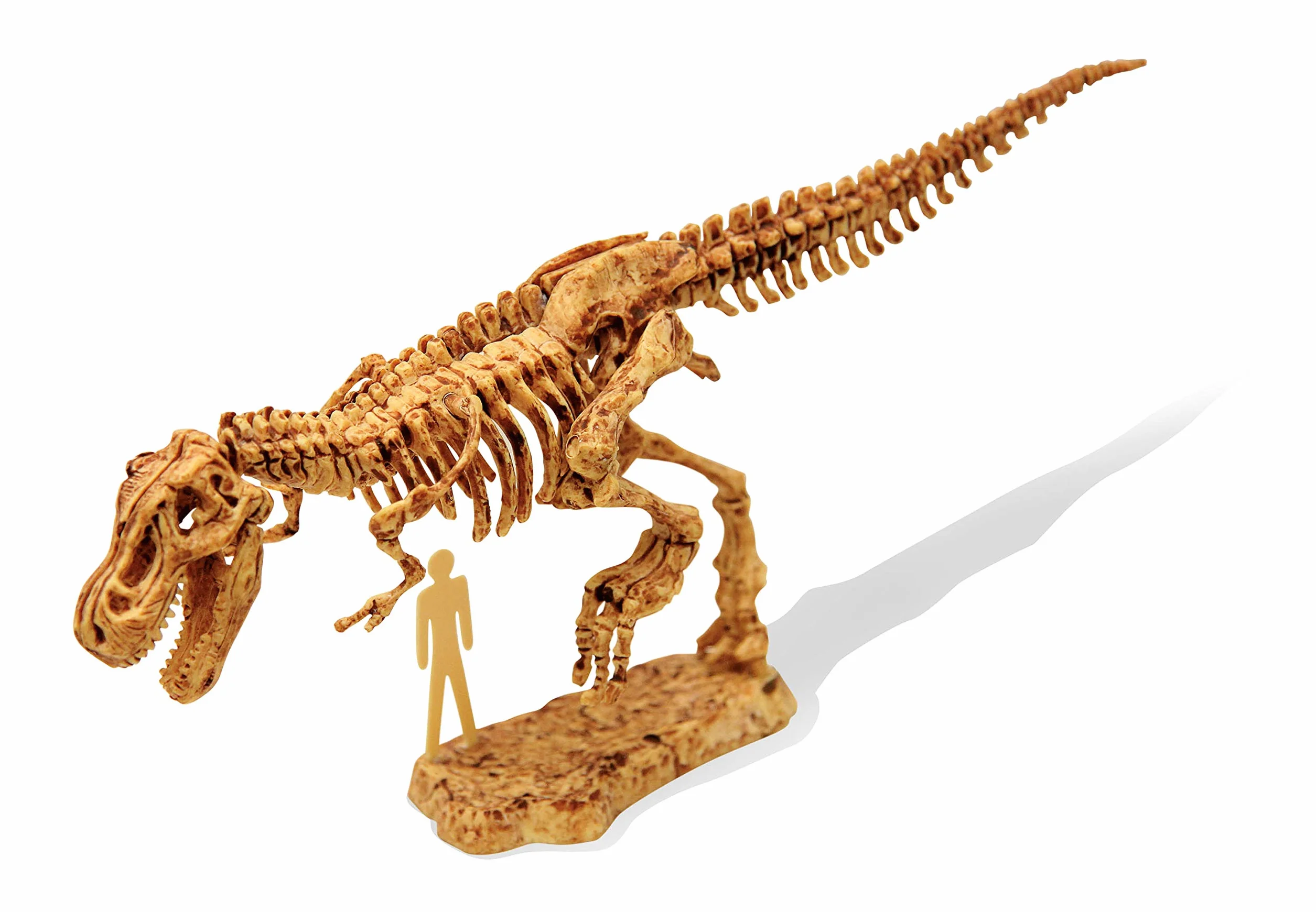 Buki France Dinokit Tyrannosaure 19 x 6 x 22.5 cm