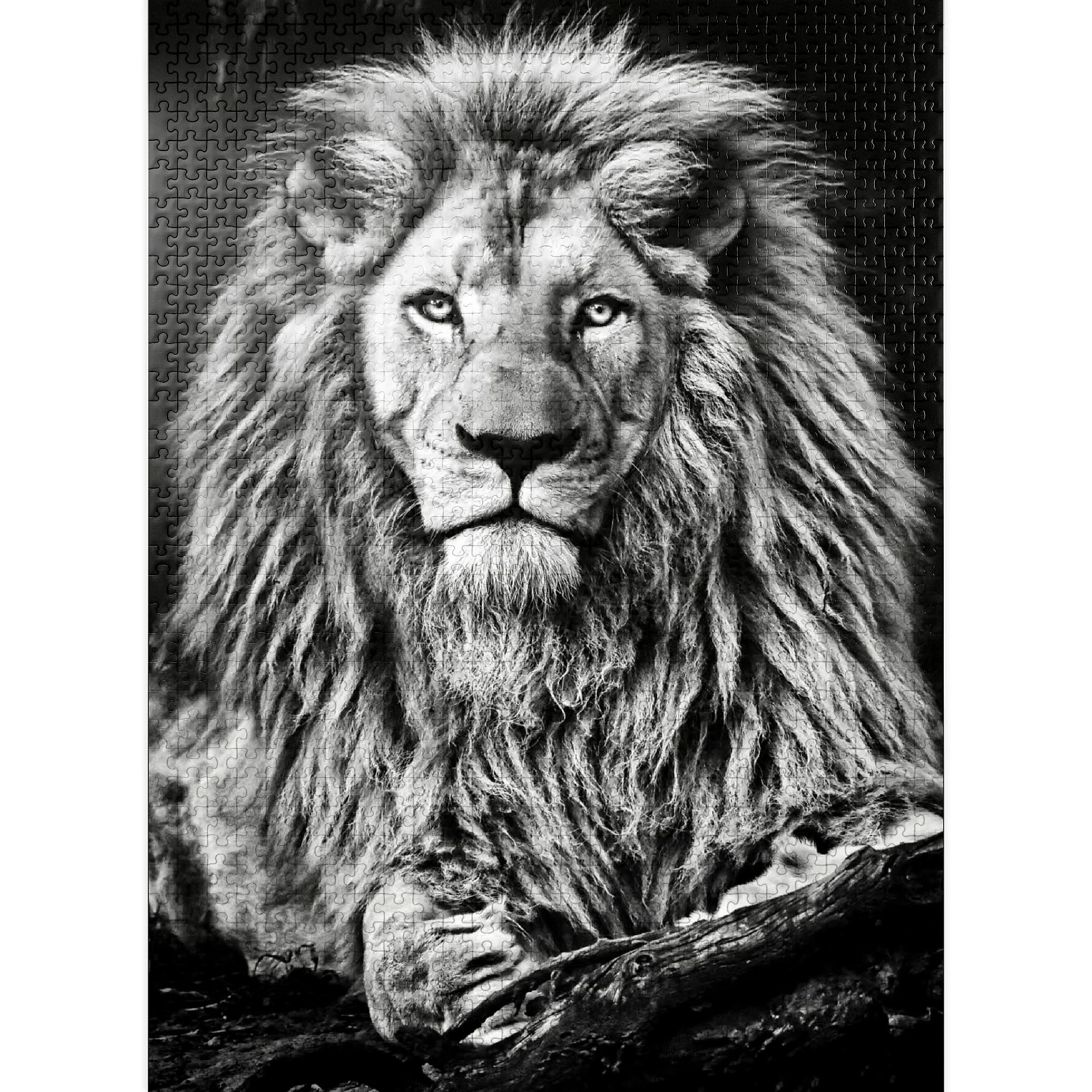 Image en noir et blanc du lion majestueux - Puzzle de 1000 pièces de qualité supérieure pour adultes