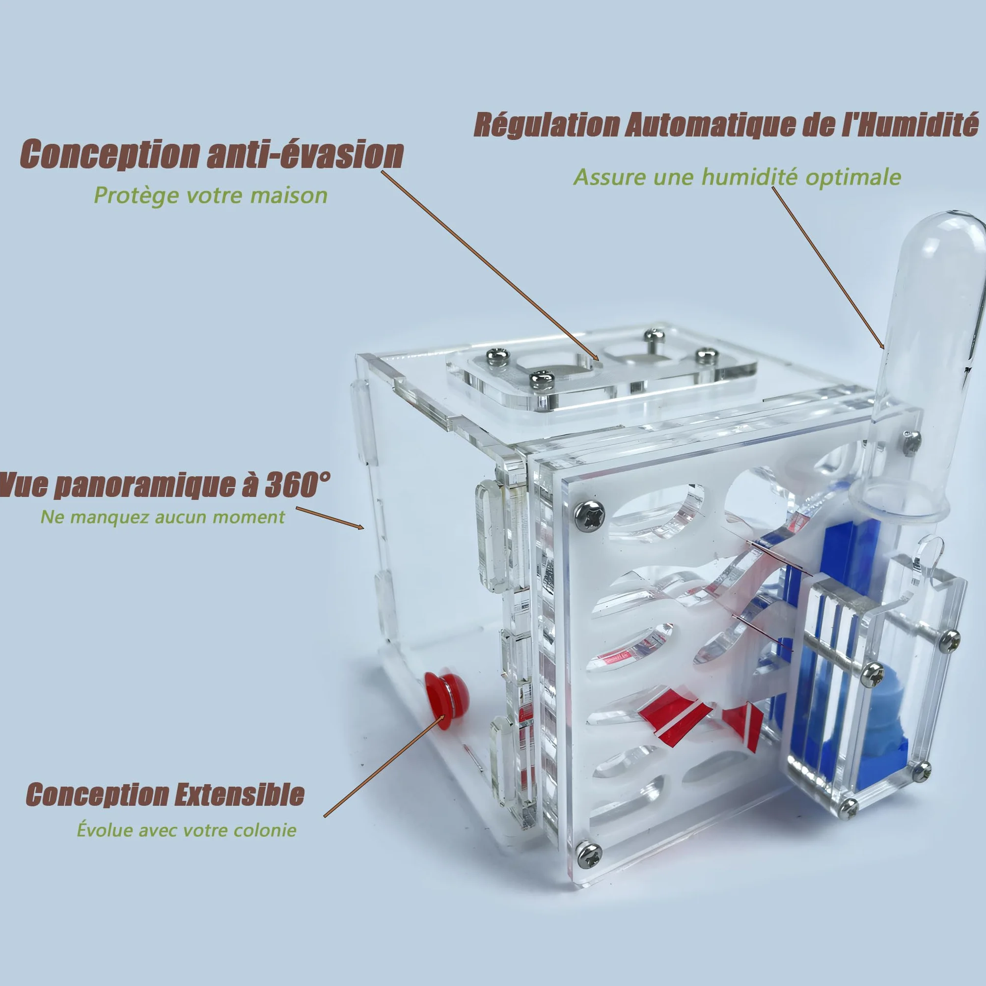 Kit de démarrage fourmilière acrylique système hydratation automatique facile installation nid fourmis peu entretien débutants