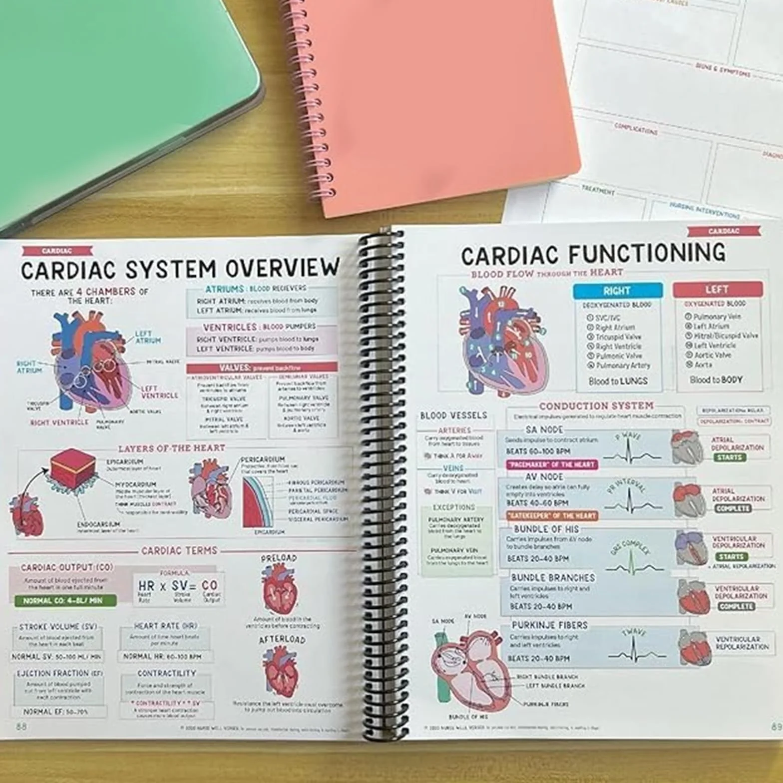 Cahier de notes Success Made Paper Tincasen Nursing School Bundle (2pcs)
