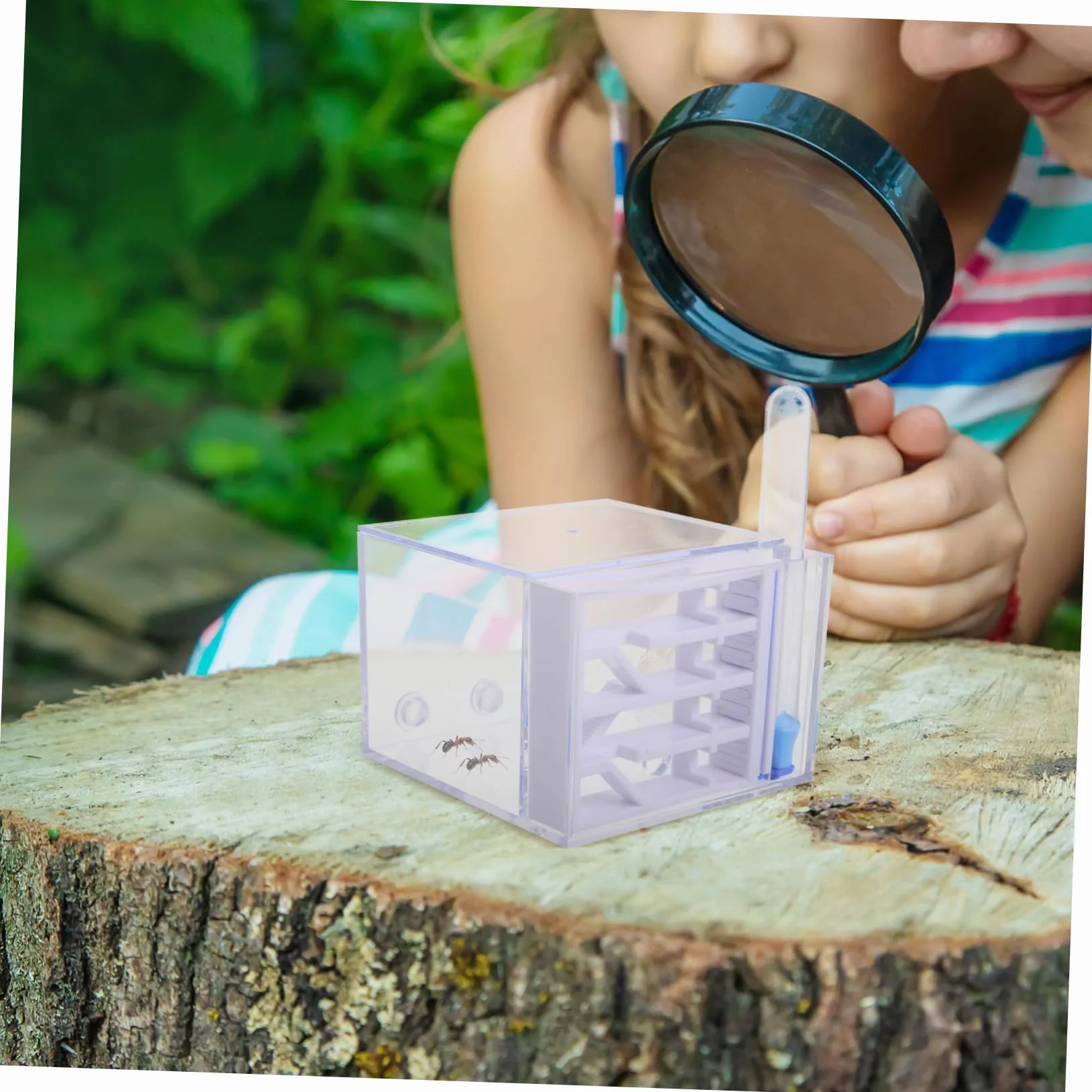 BESTonZON Fourmilière en Acrylique Observation Facile, Trousse Éducative pour Enfants, Jouet Scientifique