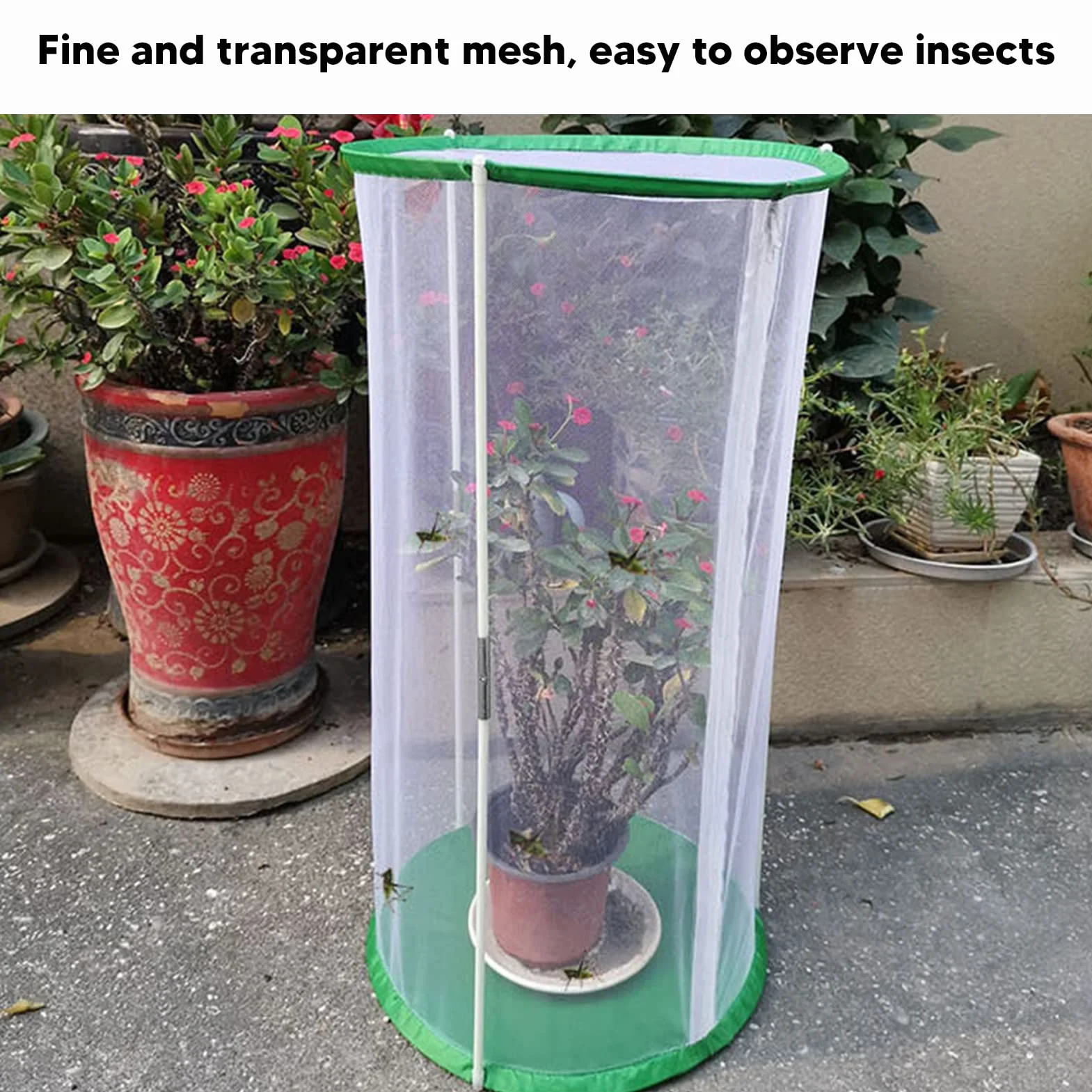Cage d'observation transparente pour papillons et insectes, maille cylindrique
