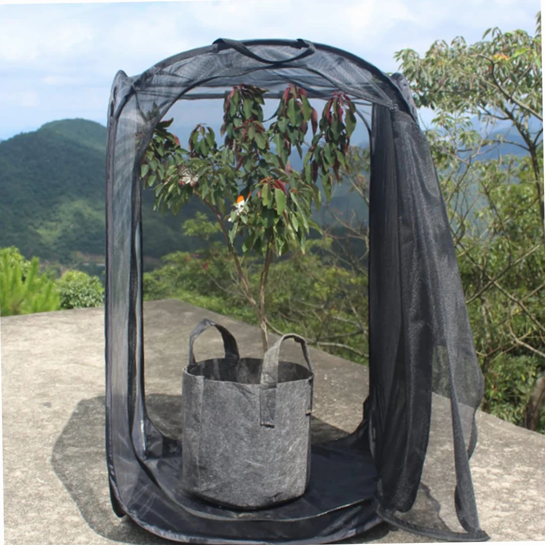 Cage Papillon 16x16x24inch Maison Transparente Pliable avec Fermeture éclair