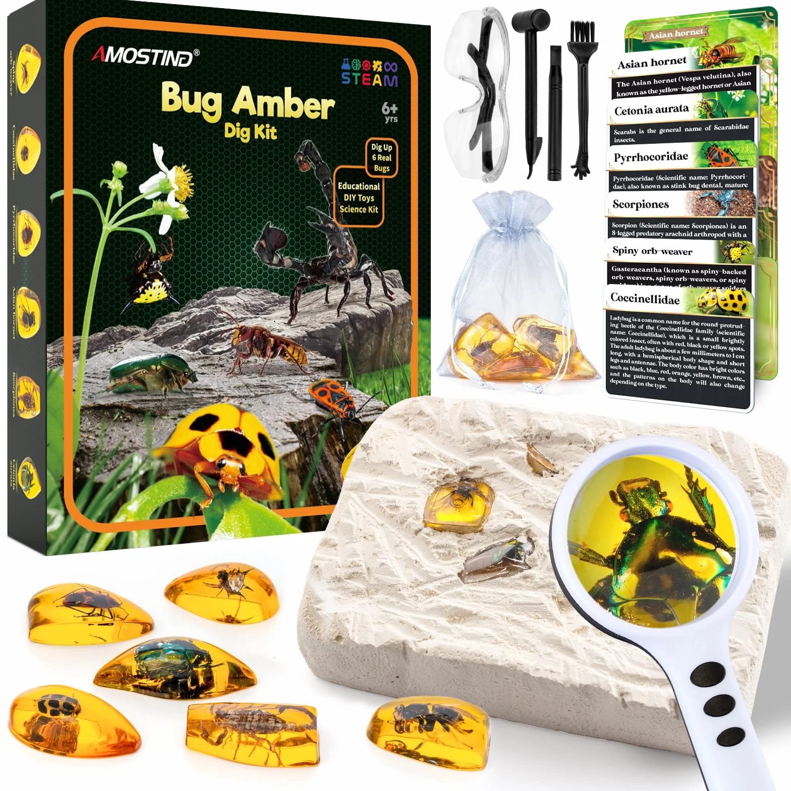 AMOSTING Science et Jeu Kit de Fouille Ambre avec Fossiles d'Insectes en Résine Artificielle pour Enfant 6+ Ans