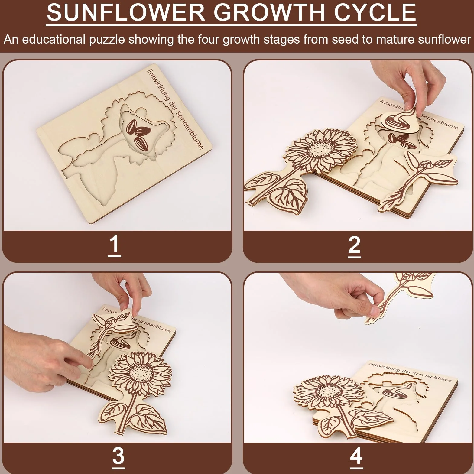Puzzle du Cycle Vie Tournesol pour Enfants, Jouets Éducatifs en Bois, Apprentissage du Cycle Vie, 3-8 Ans