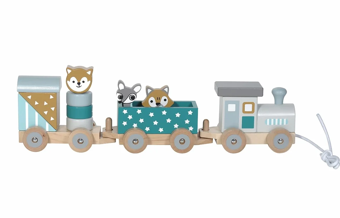 Kindsgut Petit Train en Bois et Cubes de Construction, Jouet en Bois bébé, Animaux du Zoo