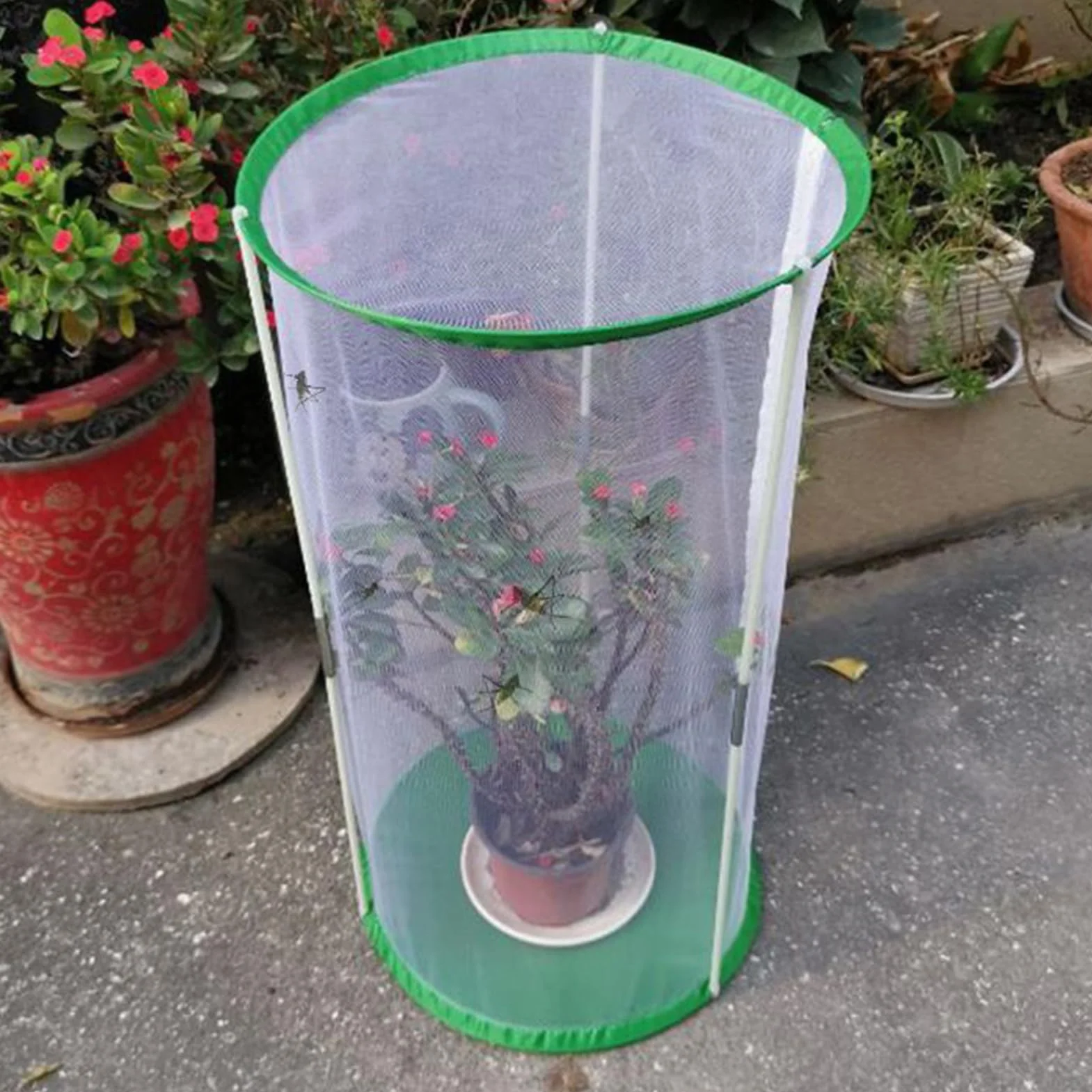 Cage à Papillons 30x40 cm avec Fermeture éclair Pliable Protection pour Études Naturelles