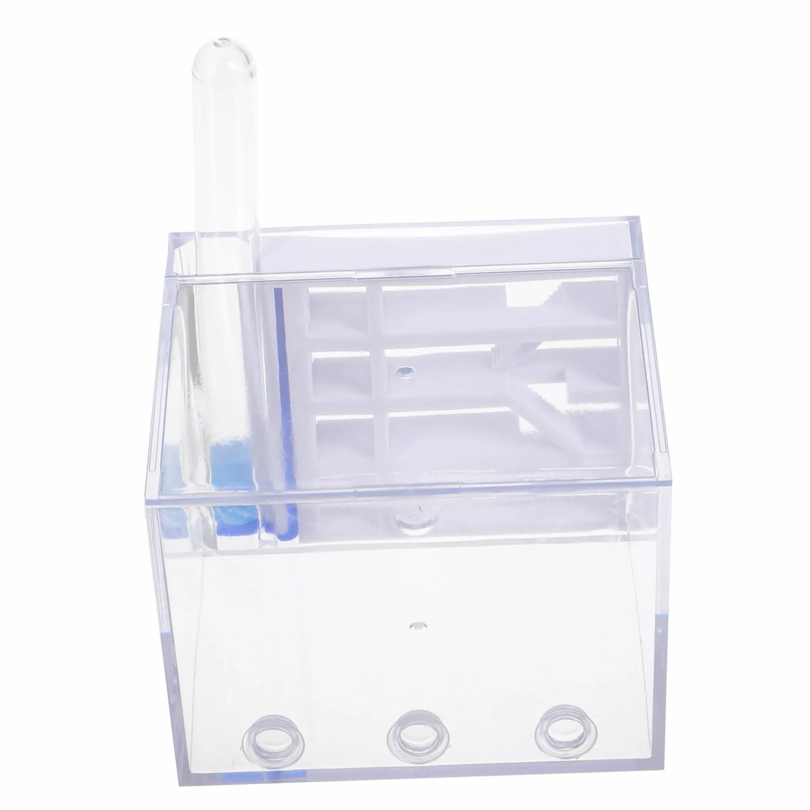 BESTonZON Fourmilière en Acrylique Observation Facile, Trousse Éducative pour Enfants, Jouet Scientifique