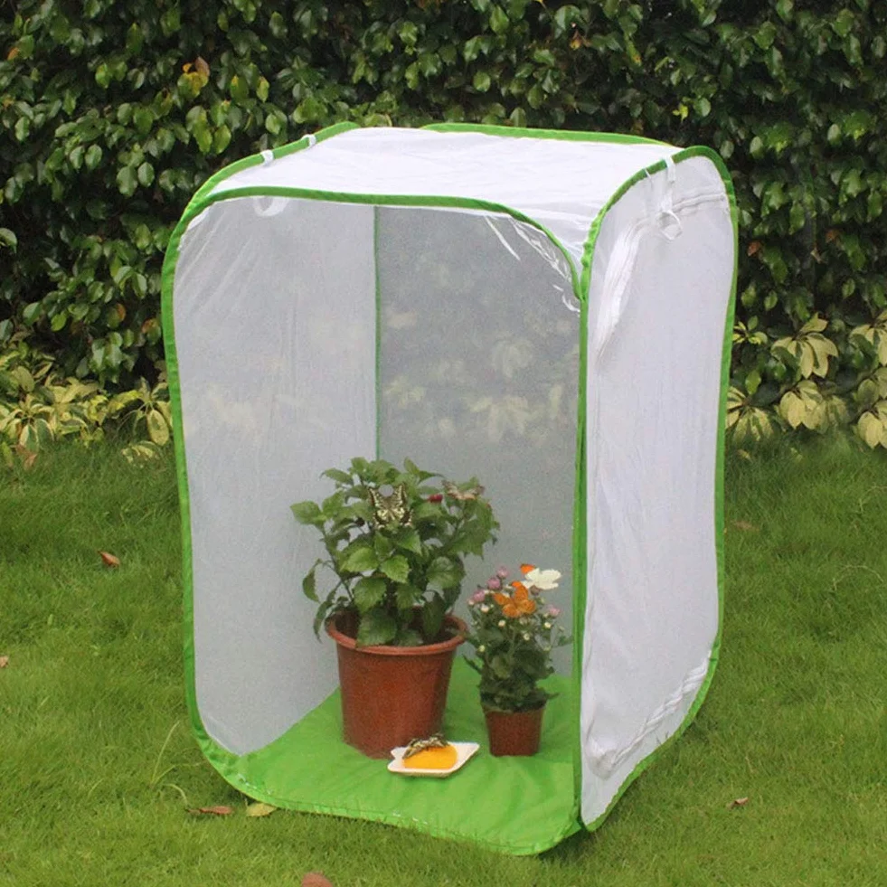 Pliante Cage Chenilles Papillons Kit Professionnel Tissu 60x60x90 cm