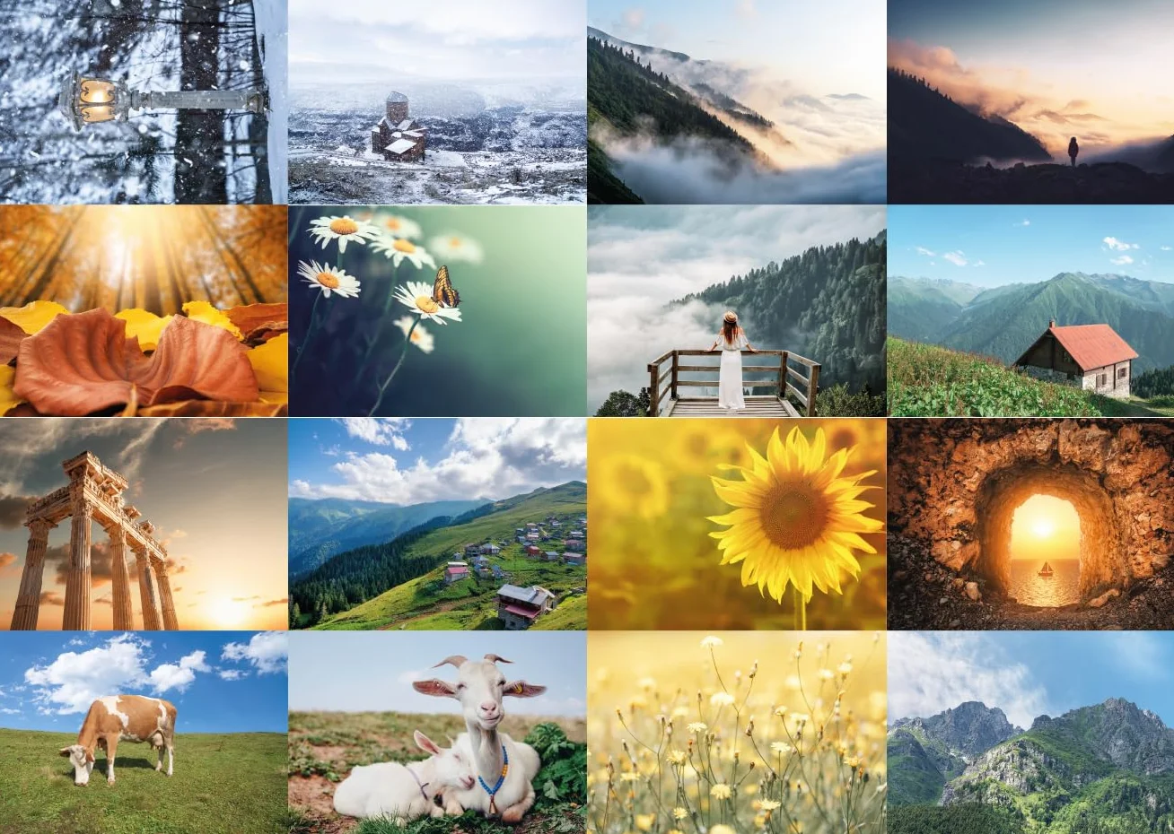 Lot de 64 cartes postales - Nature, animaux et paysage - Postcrossing