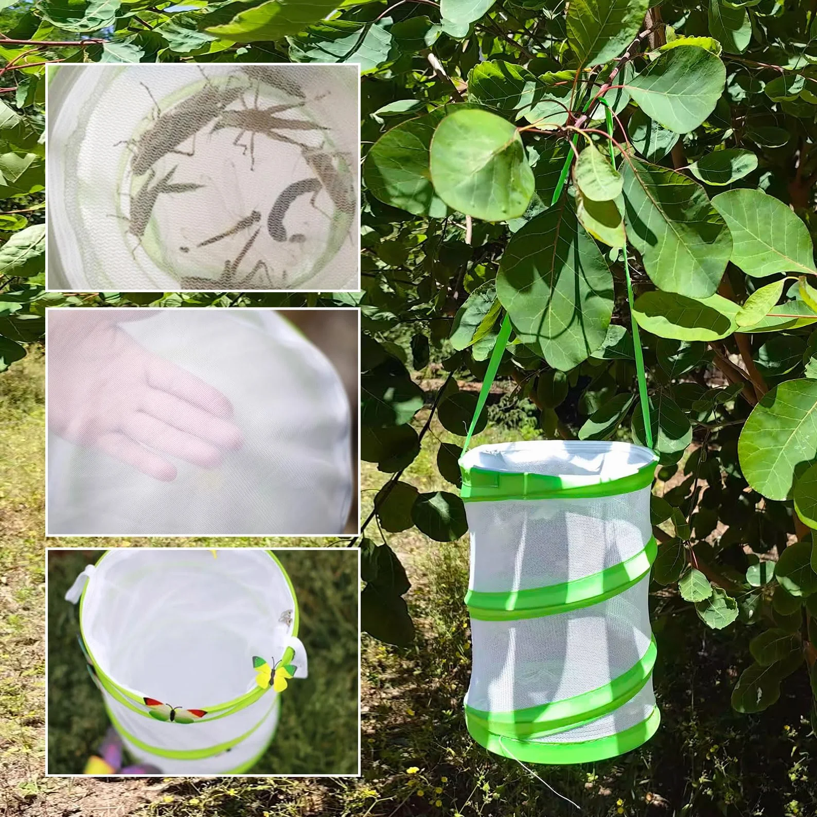 Filet papillon pour enfants, cage pliable pour insectes, habitat jardin éducatif