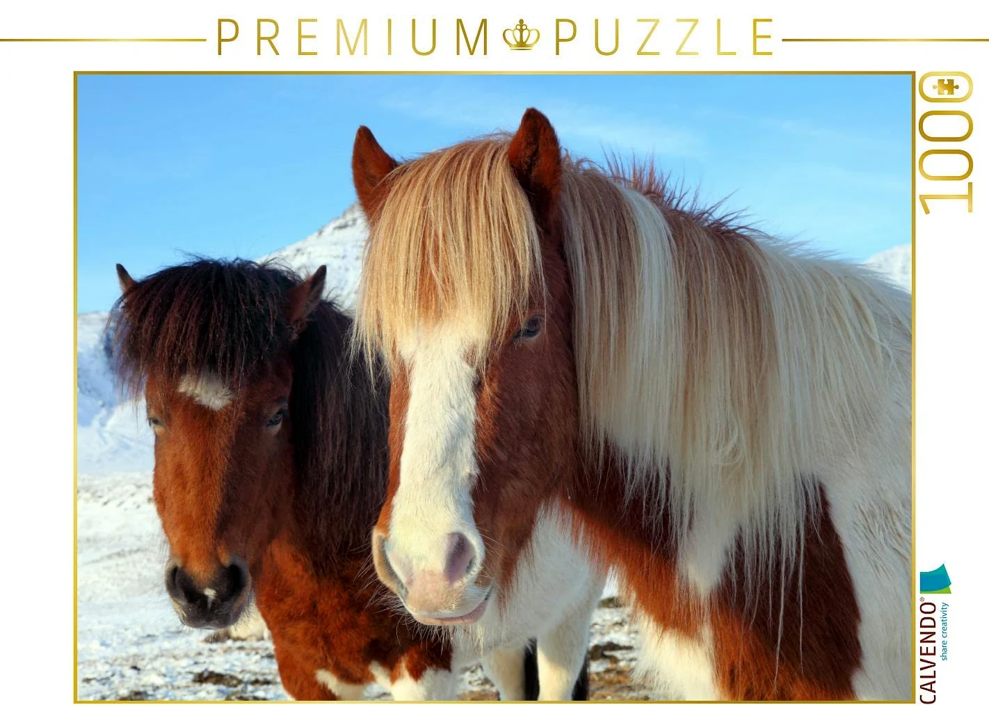 CALVENDO Puzzle Les Chevaux islandais - Les Animaux Stars de l'île 1000 Pieces 64 x 48 cm from GRO