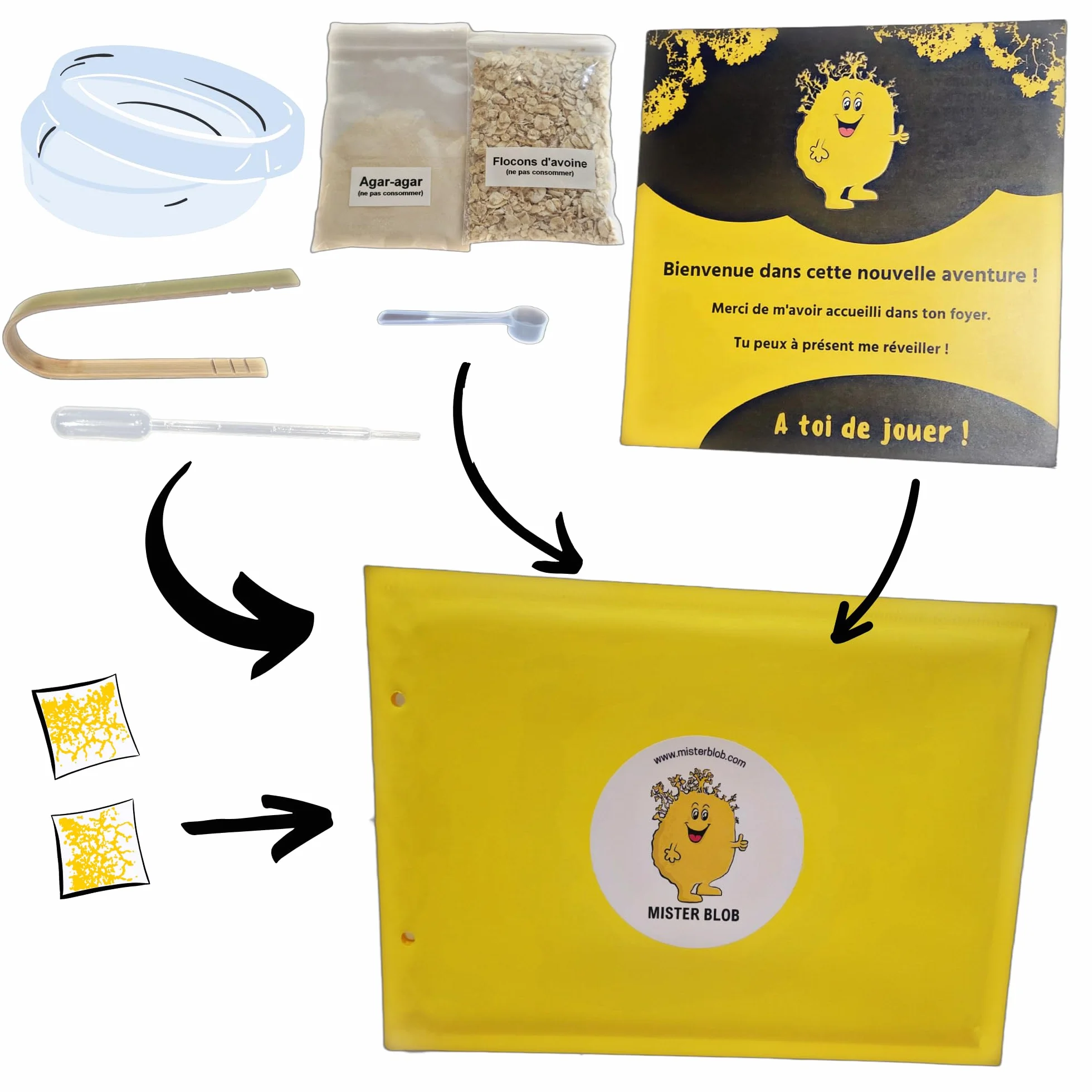 Kit d'élevage de Blob - Kit de Culture Blob - Expériences Scientifiques Enfants - Cadeau Fille Garçon