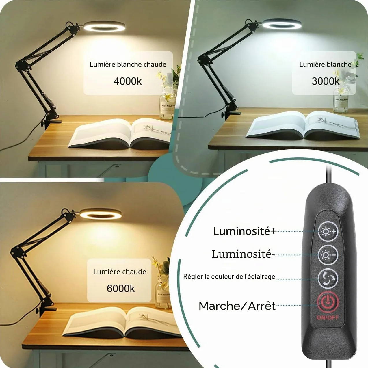 Lampe Loupe de Bureau avec LED 10X, Bras Pivotant Réglable, Pince Métal, 3 Modes Couleur, 10 Niveaux Luminosité