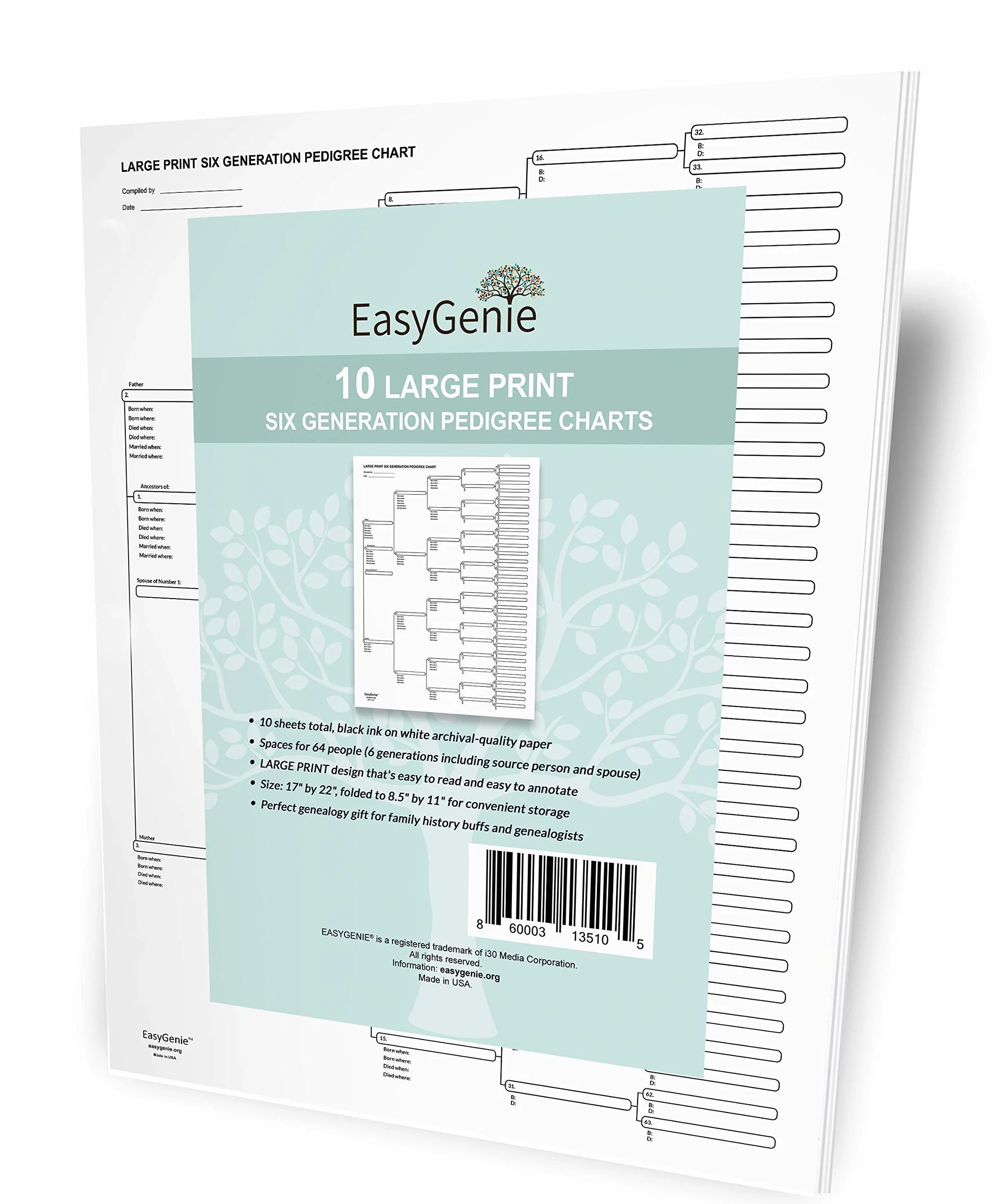 EASYGENIE 10 Large Print Six Generation Pedigree Charts Archival-Quality Genealogy Forms