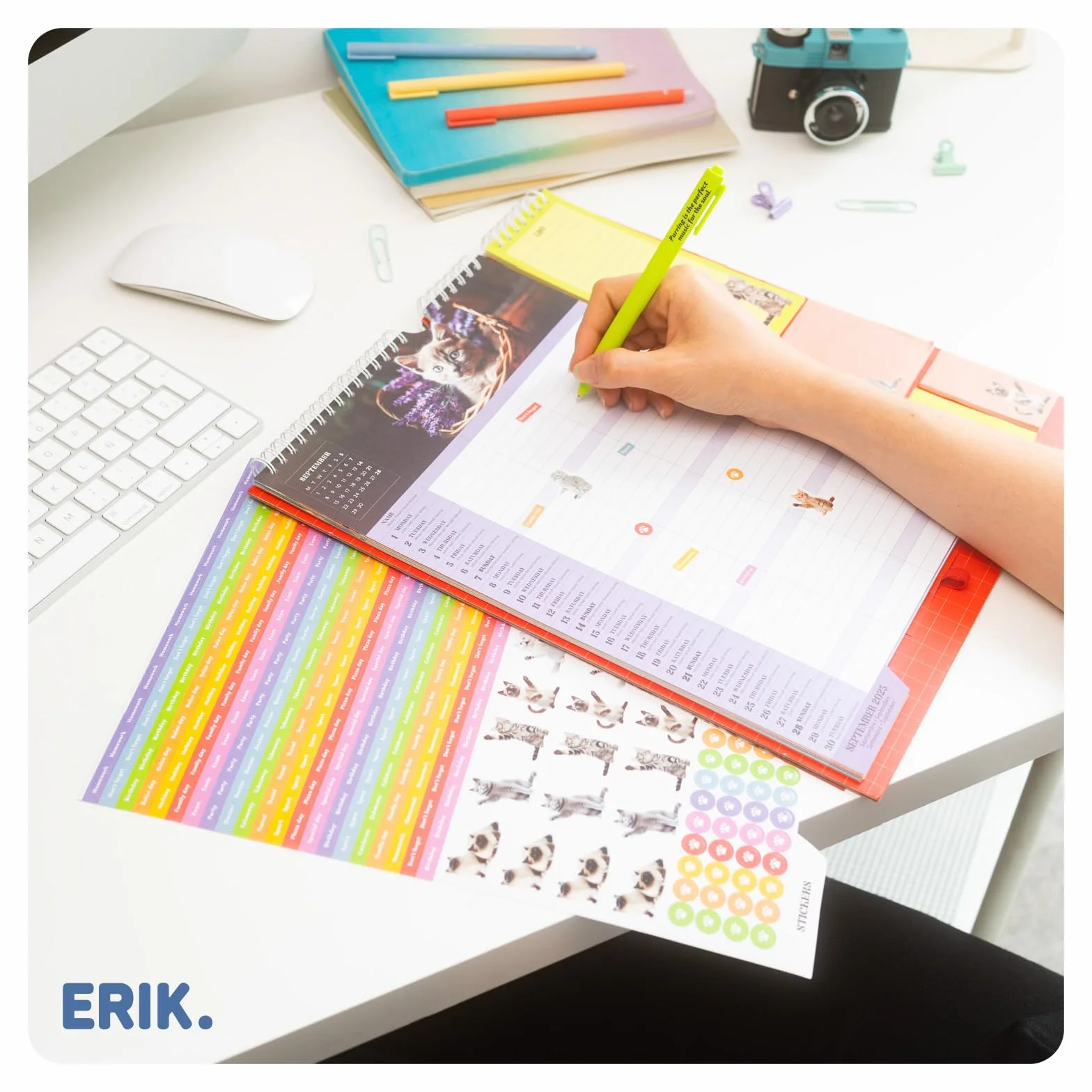 Calendrier Chats 2025 2026 16 mois Planificateur Mensuel Familial Grupo Erik
