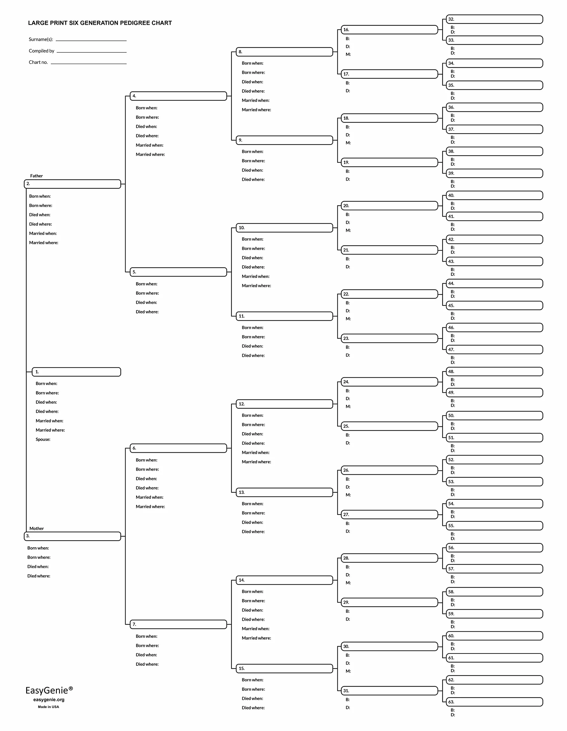 EASYGENIE 10 Large Print Six Generation Pedigree Charts Archival-Quality Genealogy Forms