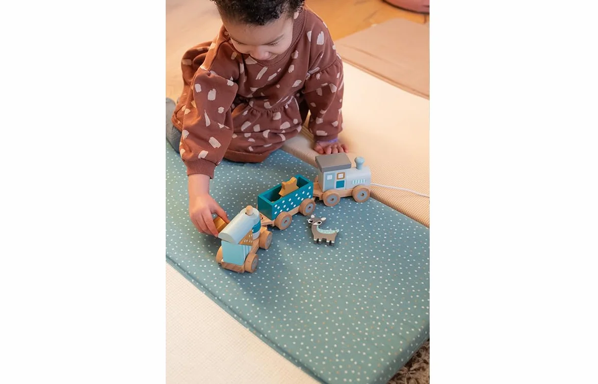 Kindsgut Petit Train en Bois et Cubes de Construction, Jouet en Bois bébé, Animaux du Zoo
