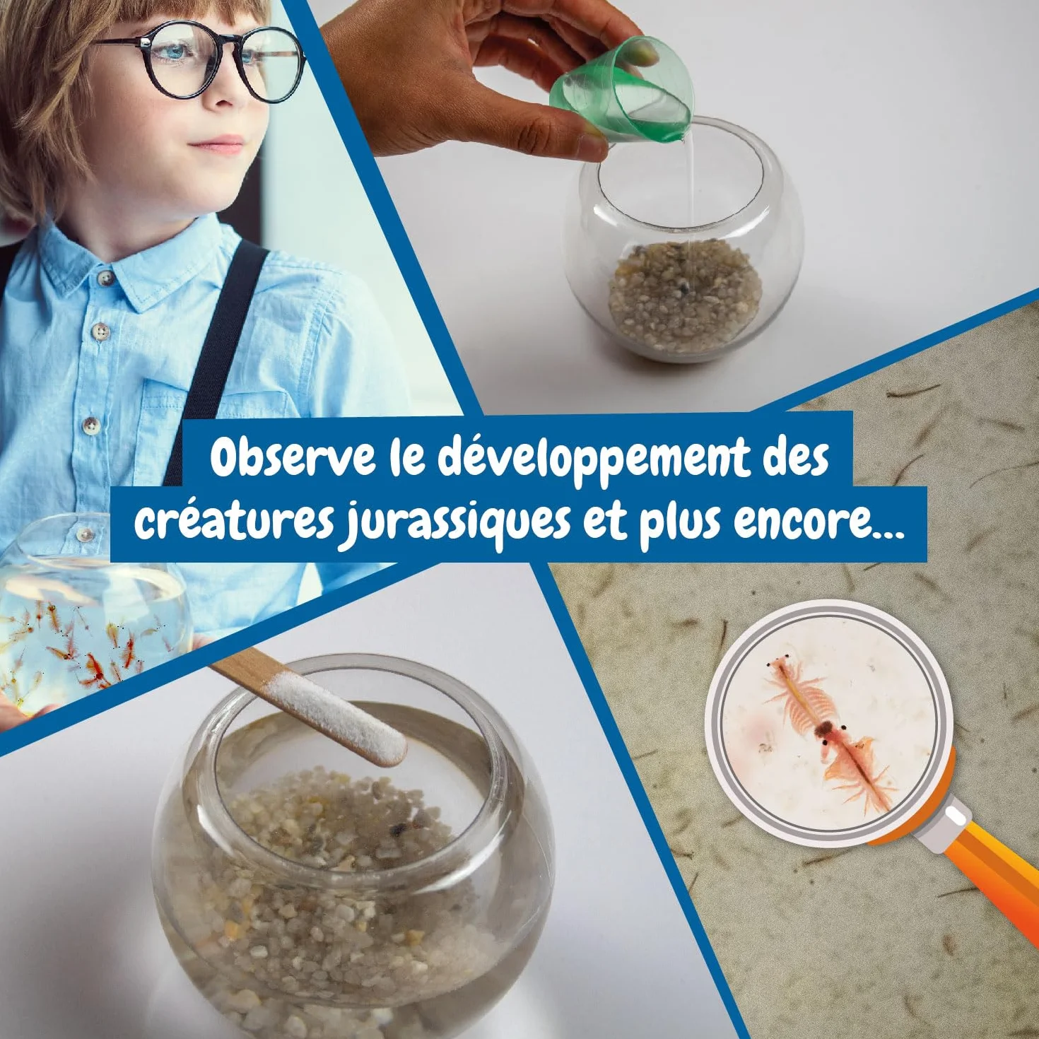 Science4you Creatures Jurassiques Kit Artemias Aquarium Jouet Enfant 6+ Ans Écosystème Monstre Marin Jeux Scientifique