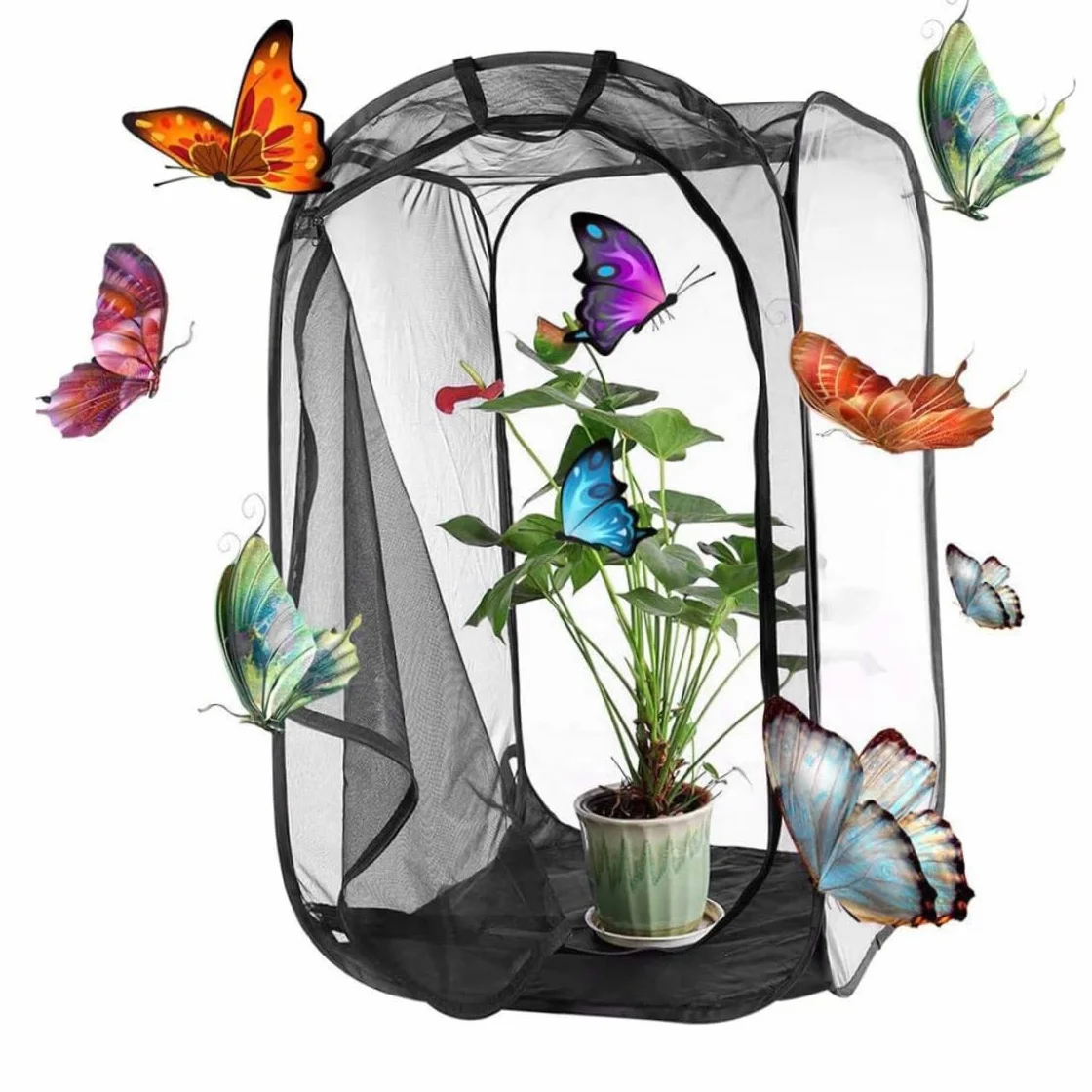 Cage Papillon 16x16x24inch Maison Transparente Pliable avec Fermeture éclair