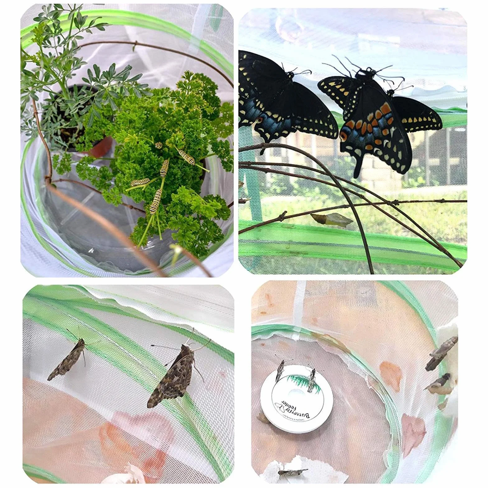 Cage à papillons Habitat - Cage en maille - Terrarium Pop Up - Cage pliable en filet pour insectes