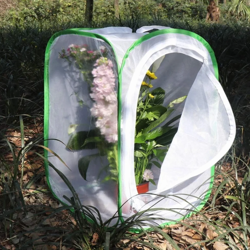 Lot de 2 cages à insectes et papillons pour terrarium 40 x 40 x 60 cm
