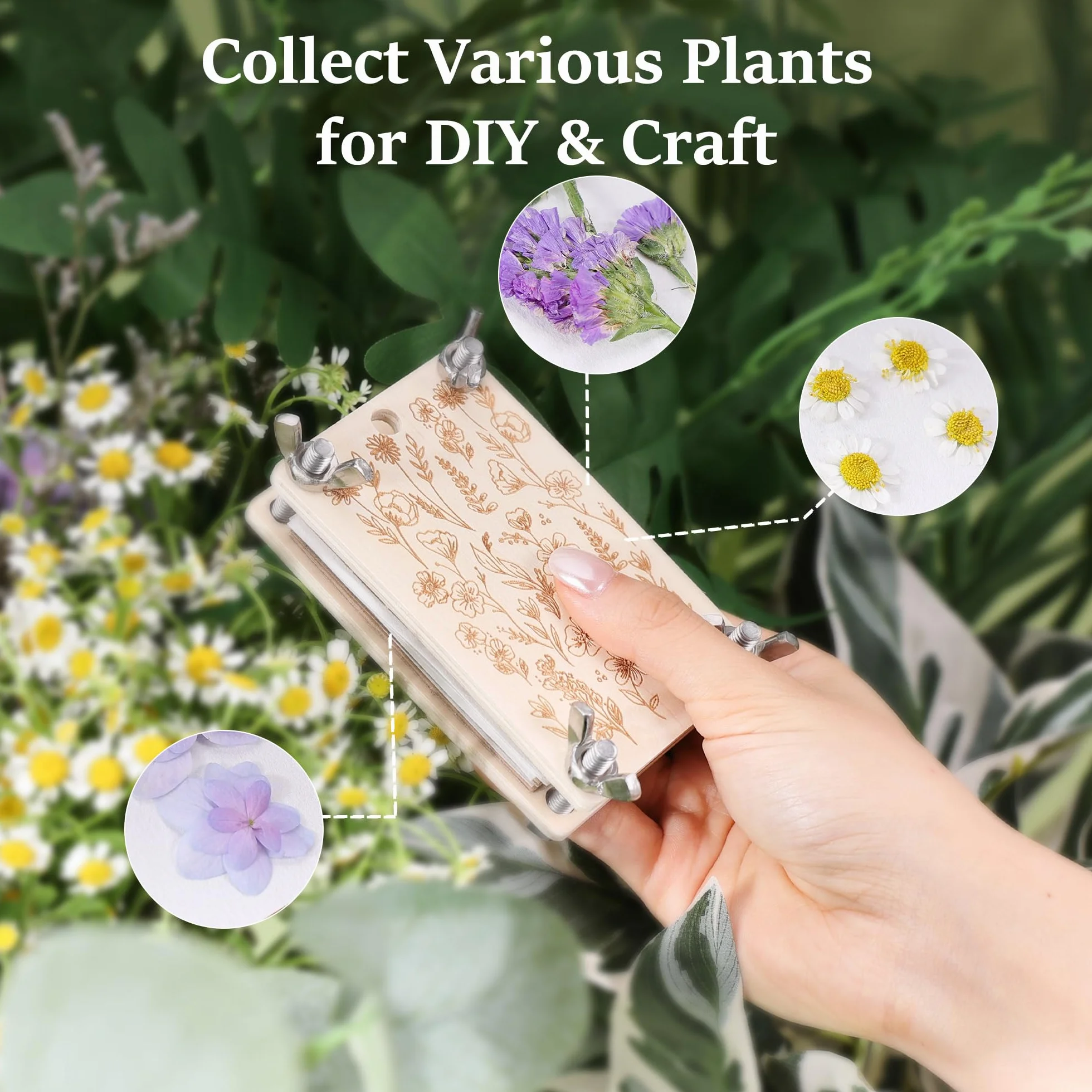 Aboofx Mini presse à fleurs kit de conservation de poche pour presser les plantes extérieur fleurs séchées débutantes loisirs créatifs