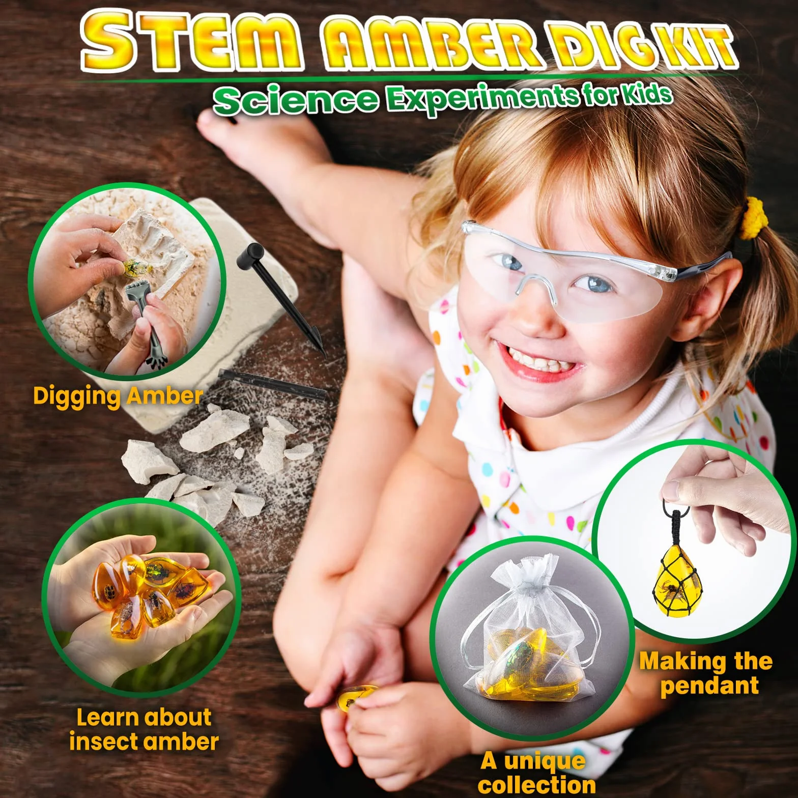 AMOSTING Science et Jeu Kit de Fouille Ambre avec Fossiles d'Insectes en Résine Artificielle pour Enfant 6+ Ans