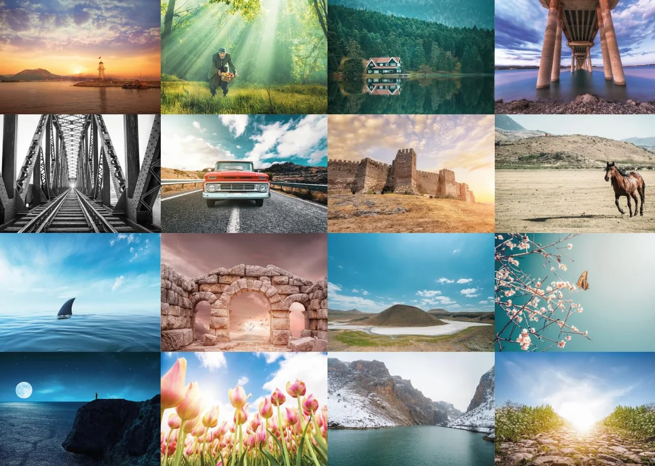 Lot de 64 cartes postales - Nature, animaux et paysage - Postcrossing