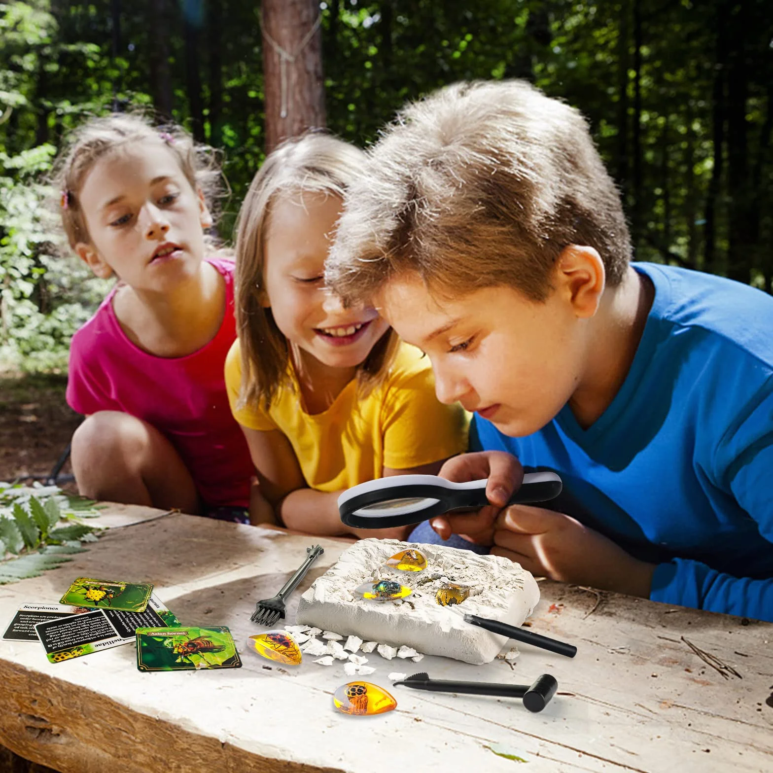 AMOSTING Science et Jeu Kit de Fouille Ambre avec Fossiles d'Insectes en Résine Artificielle pour Enfant 6+ Ans
