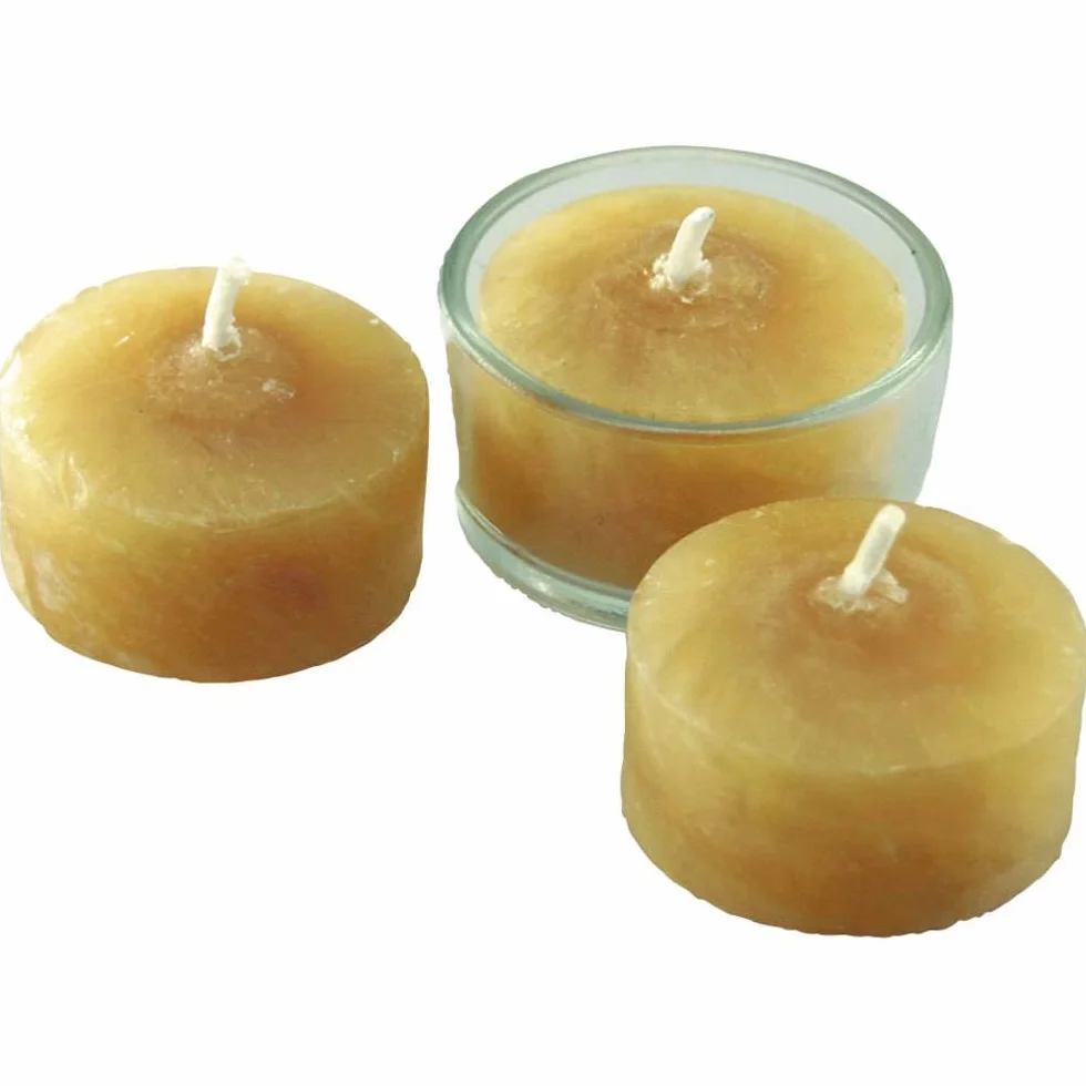 Wilesco Bougies de Rechange pour Machine à Vapeur D2 Lot de 3