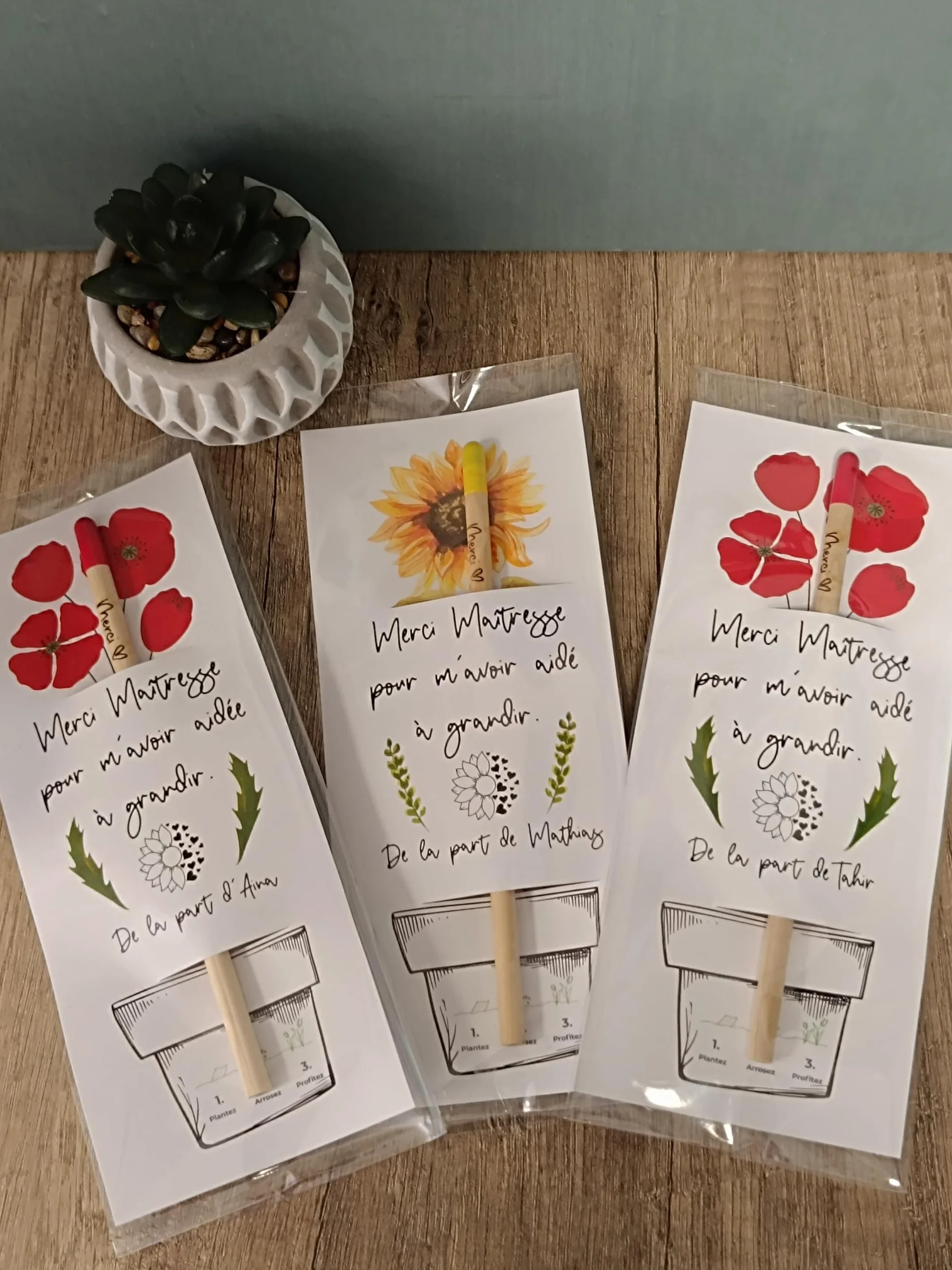 Crayon à planter Merci Tournesol Lavande Coquelicot Cadeau Maîtresse Atsem Nounou