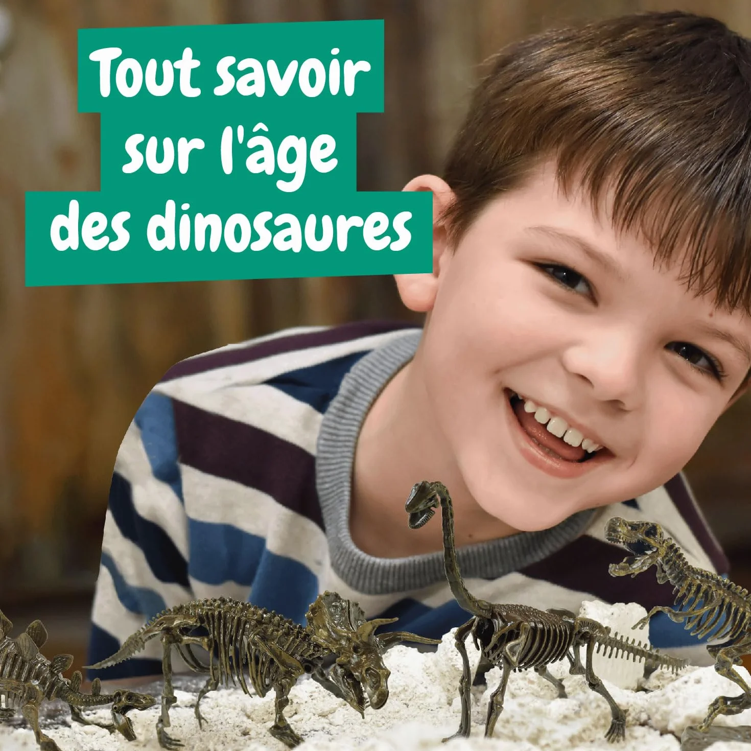 Science4you Kit de Fouille de Fossiles 4 en 1 pour Enfants 5-10 Ans - Excaver et Assembler 4 Dinosaures T-Rex Triceratops Velociraptor Stegosaurus