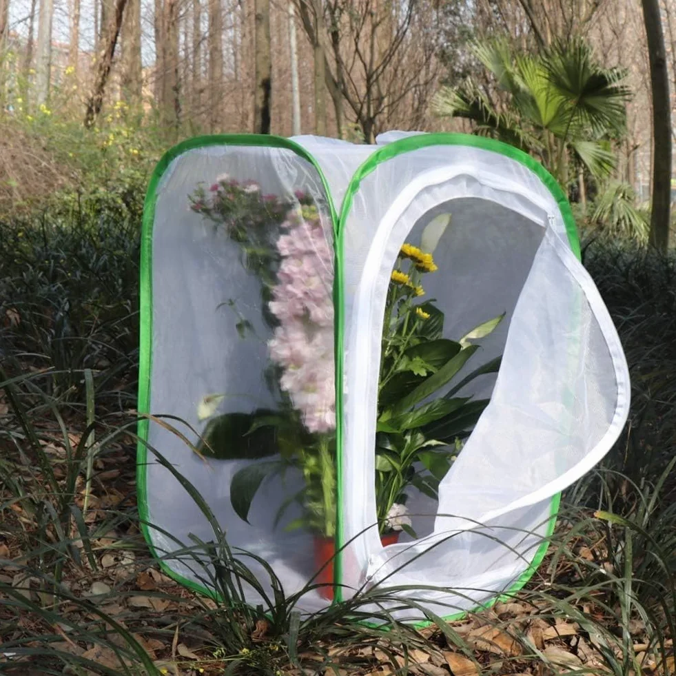 Lot de 2 cages à insectes et papillons pour terrarium 40 x 40 x 60 cm