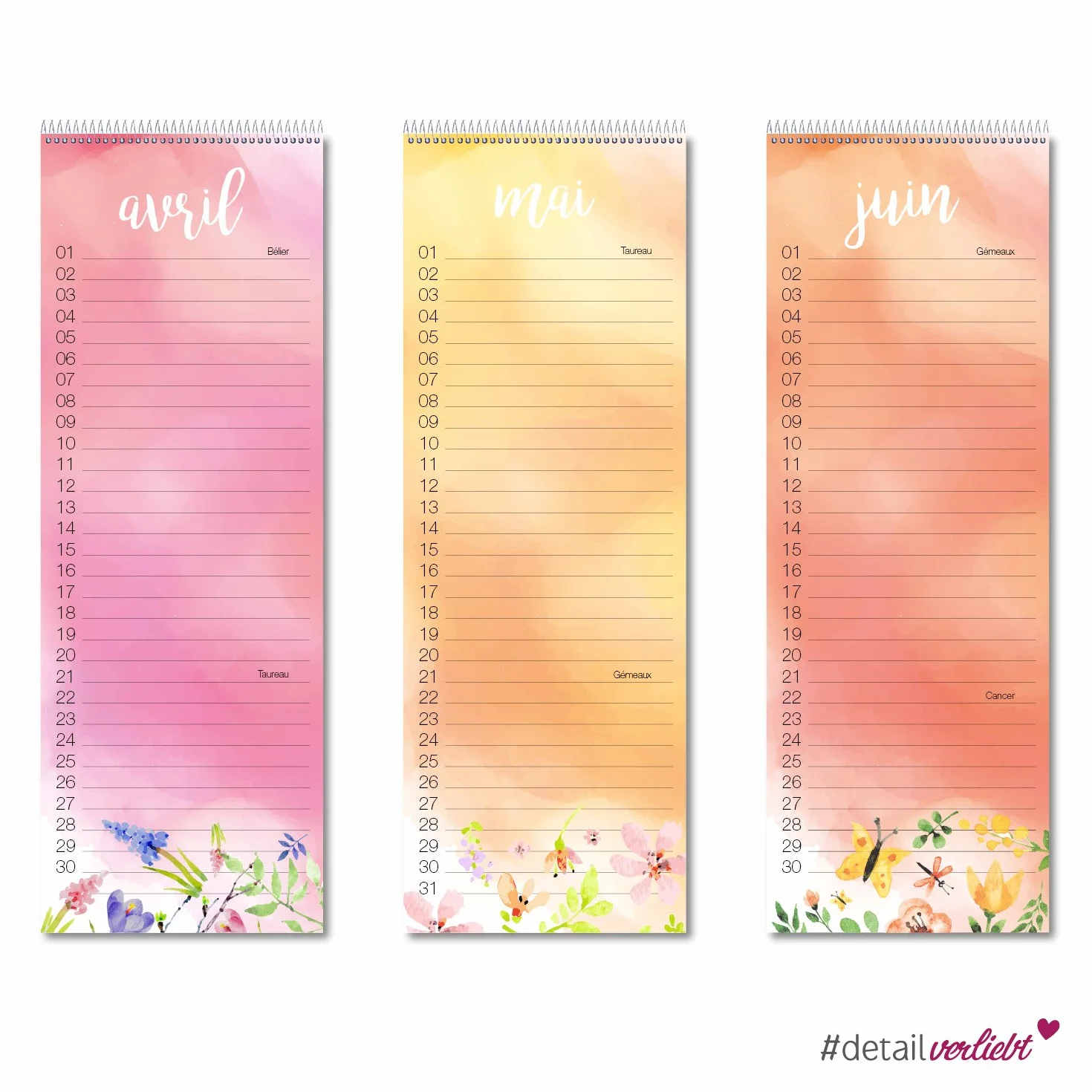Calendrier d'anniversaire à spirales avec étoile caractères dv727
