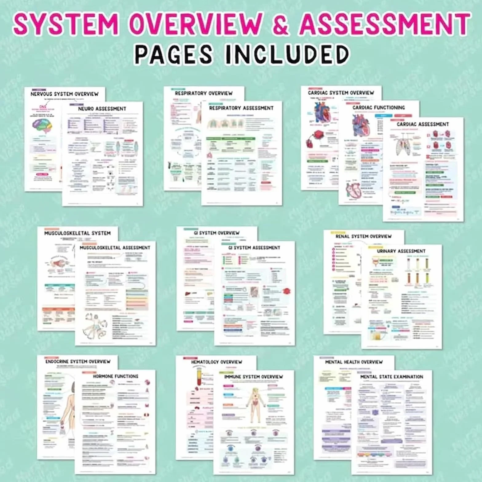 Cahier de notes Success Made Paper Tincasen Nursing School Bundle (2pcs)