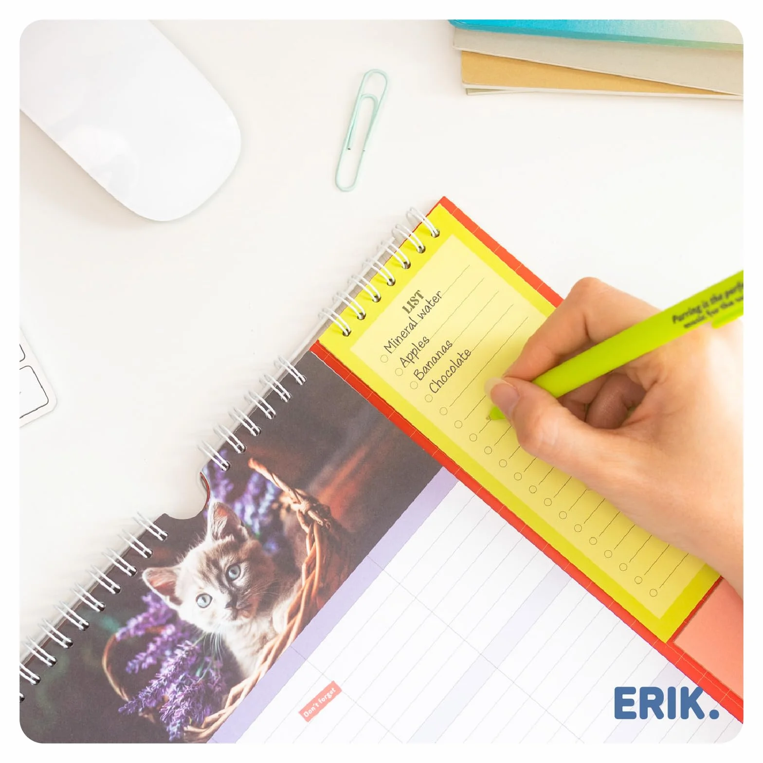 Calendrier Chats 2025 2026 16 mois Planificateur Mensuel Familial Grupo Erik