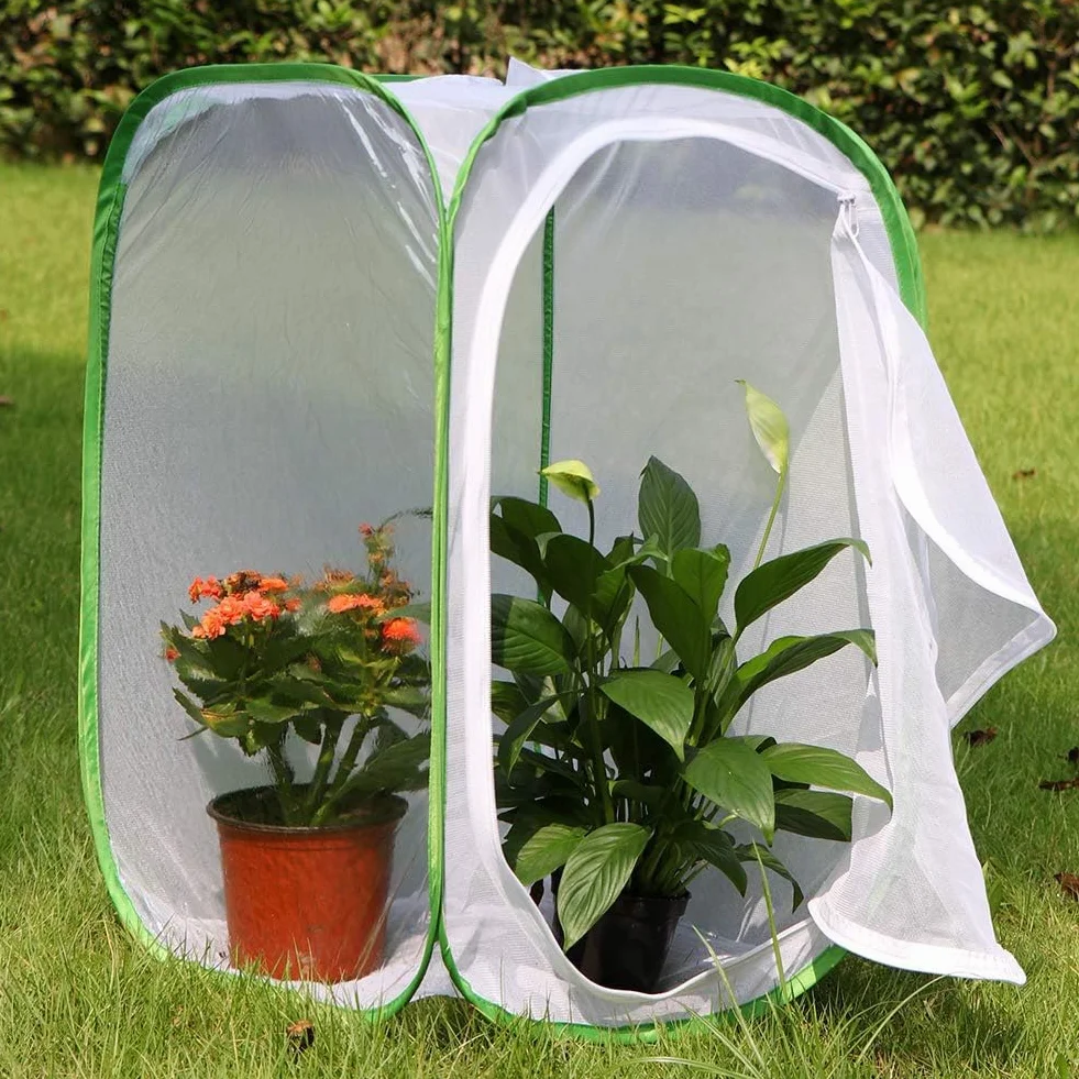 Lot de 2 cages à insectes et papillons pour terrarium 40 x 40 x 60 cm