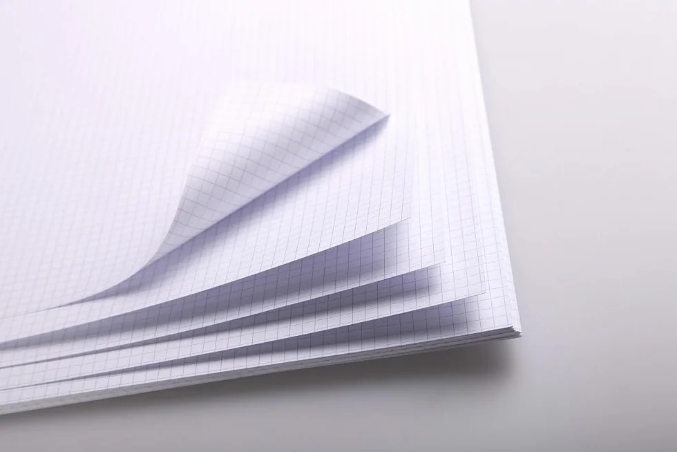 Clairefontaine Papier Bristol Quadrillé A3 320g 29,7x42 cm 20 Feuilles