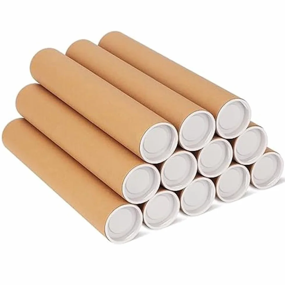 Tubes d'expédition en carton 5,1 x 30,5 cm Lot de 12 avec capuchons